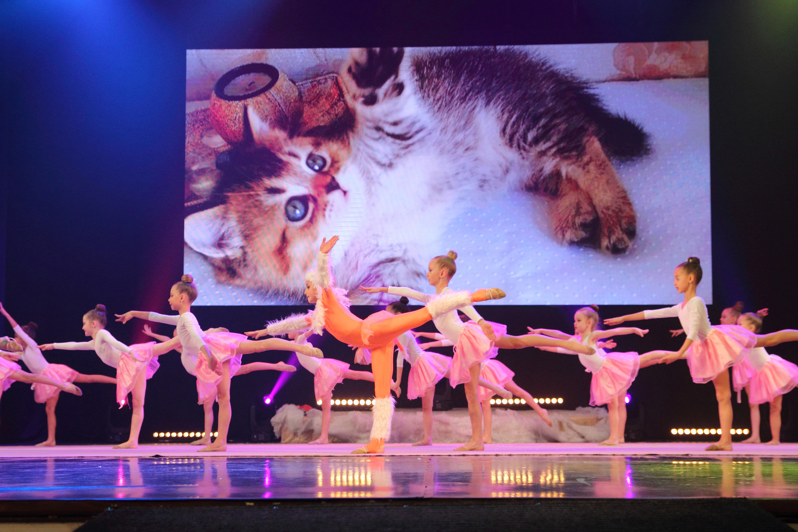 Зимнее настроение. Фотограф Ирина Колесникова