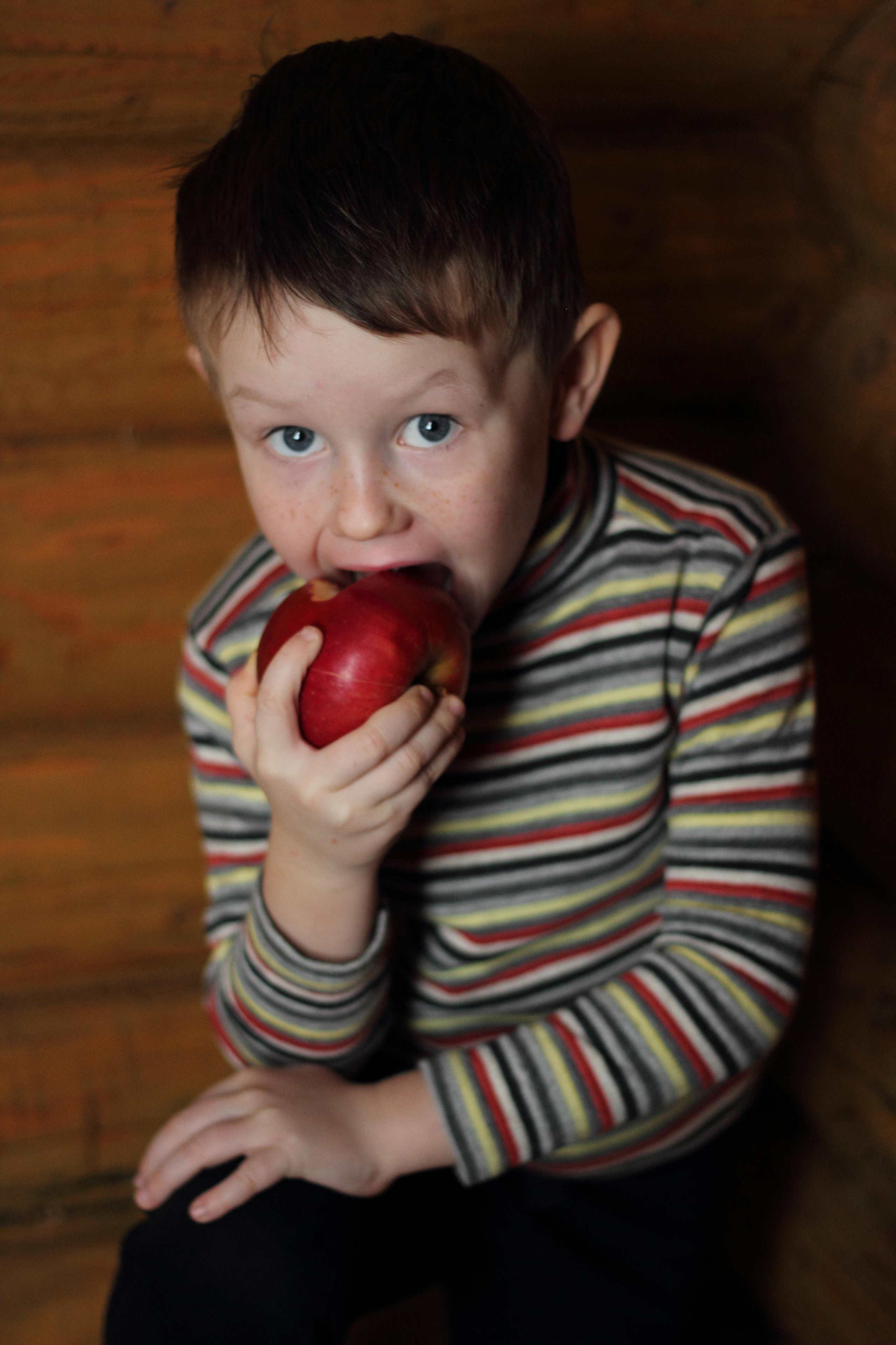 Хитрюшка. Фотограф Ирина Колесникова