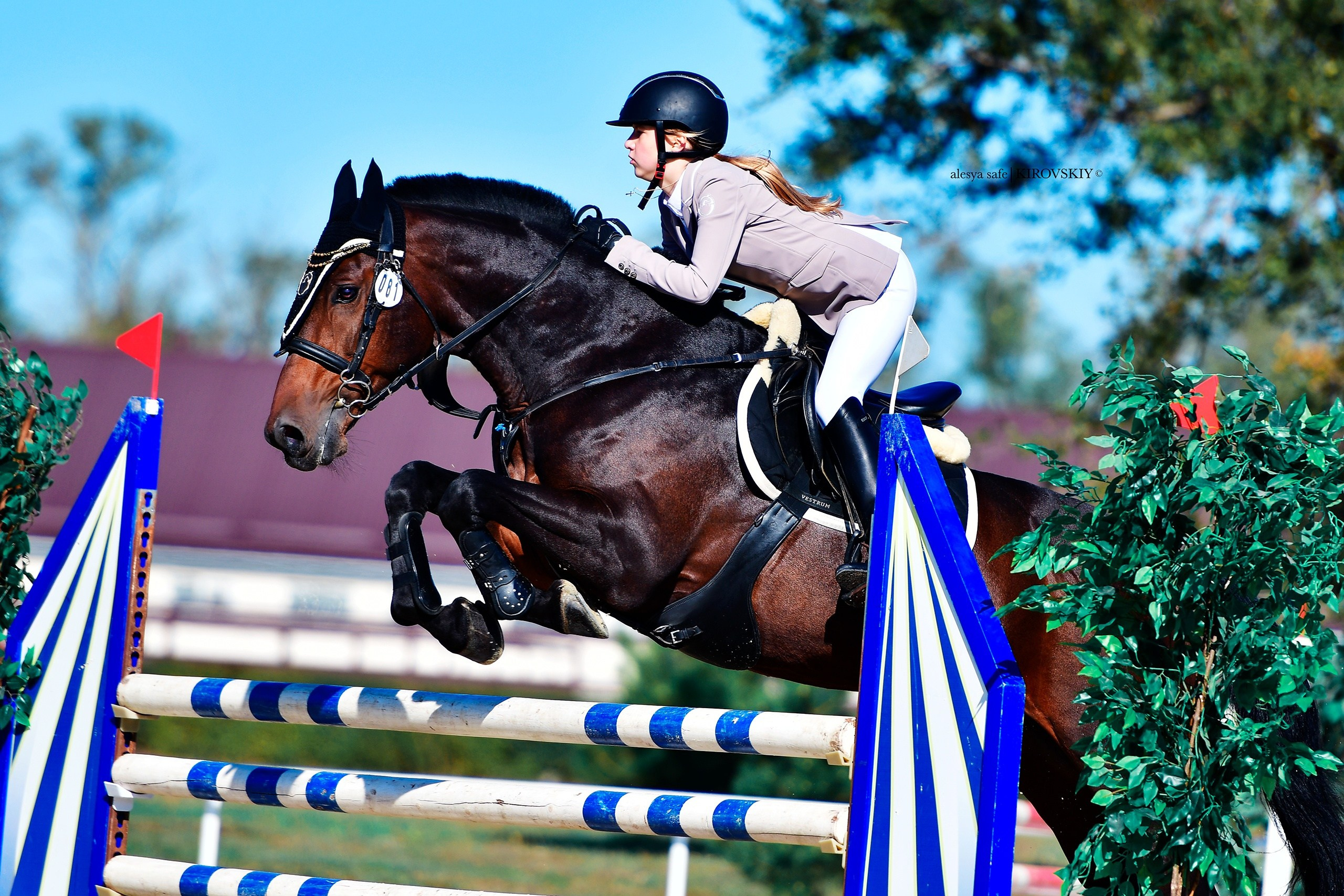 Кировский конный завод. Конный фотограф Alesya Safe