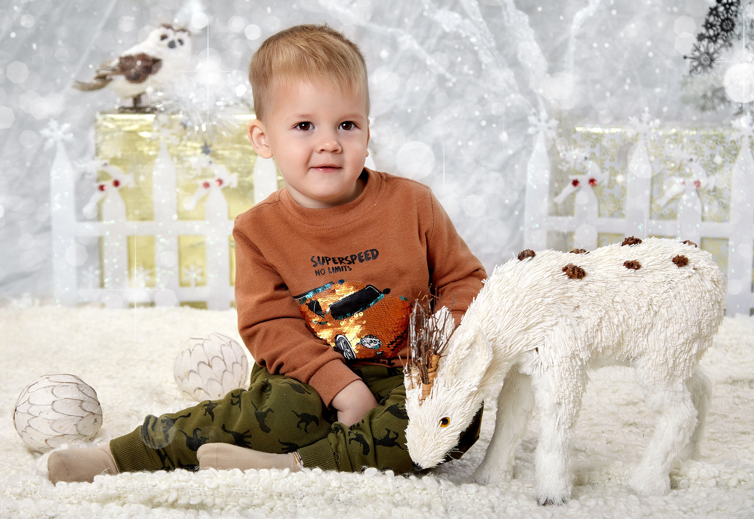 Новогодняя фотосессия в Дет-садах