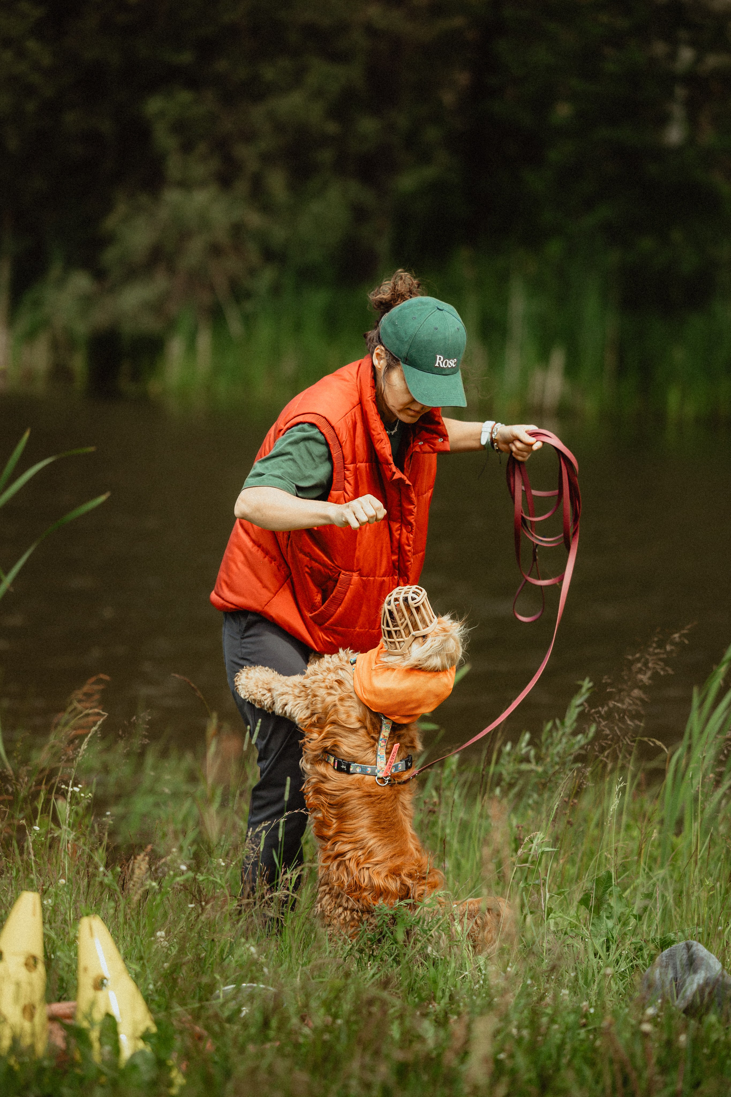 Выездной дог-тренинг от школы «Шерсть имею»