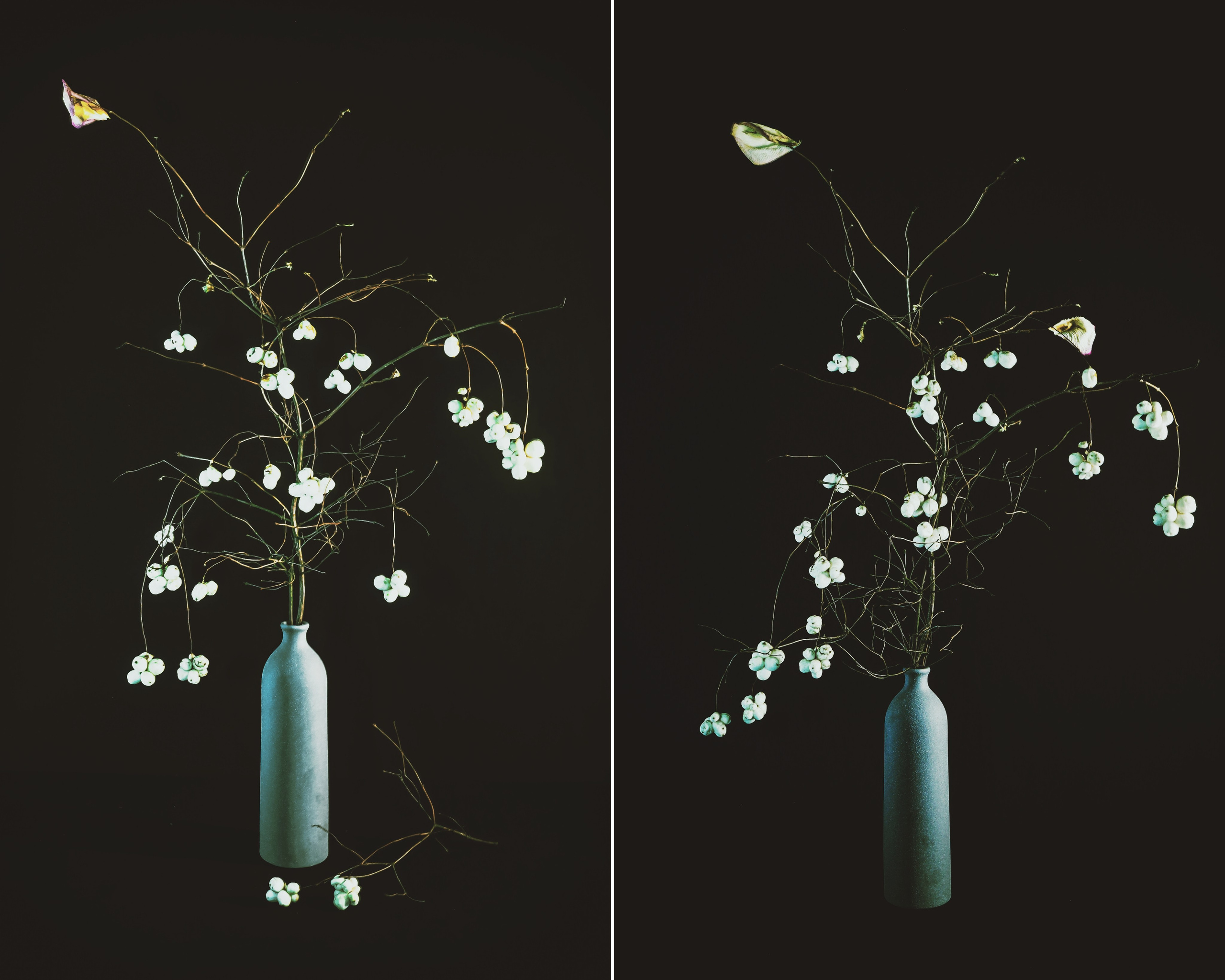 Природа &. Фотохудожник в СПб