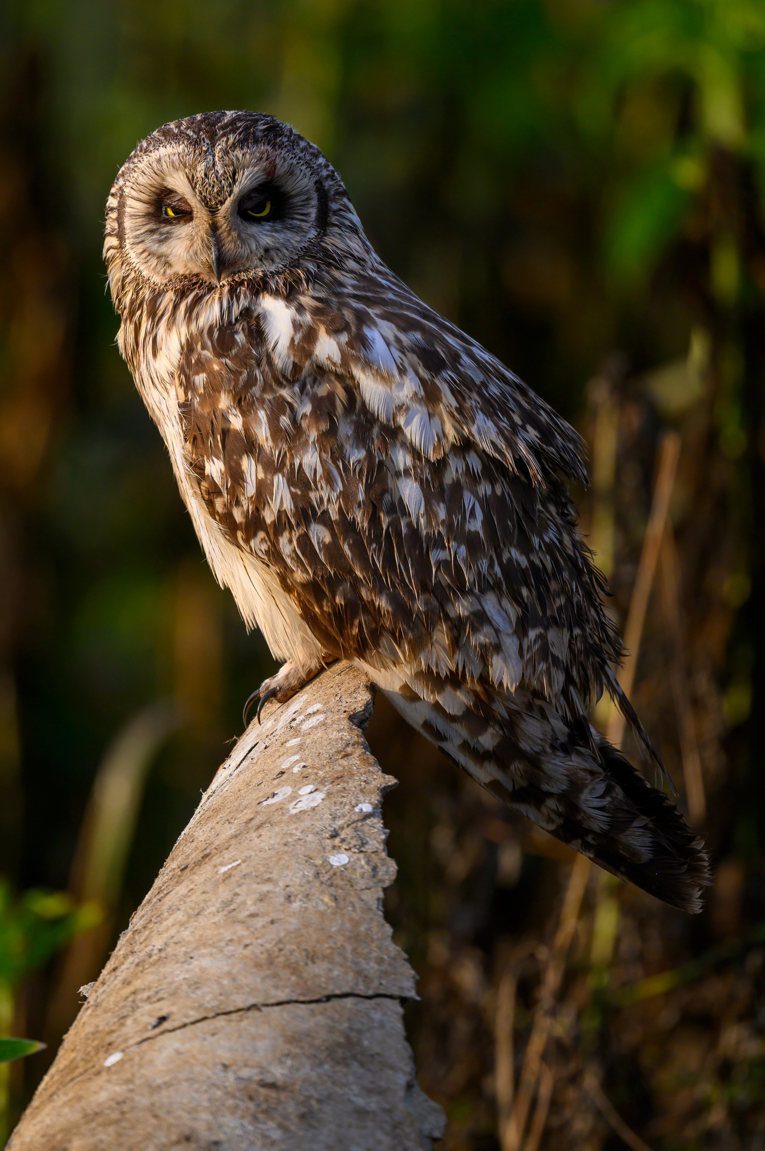 Боевая раскраска охотника. Face Paint of the Hunter. Фотограф Сергей Пупонин
