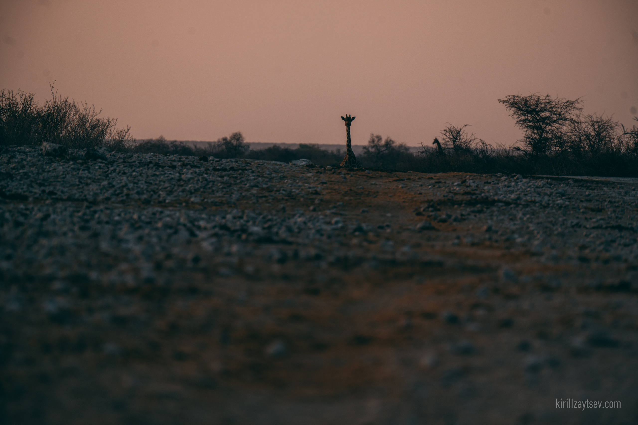 Жизнь. Профессиональный фотограф Кирилл Зайцев