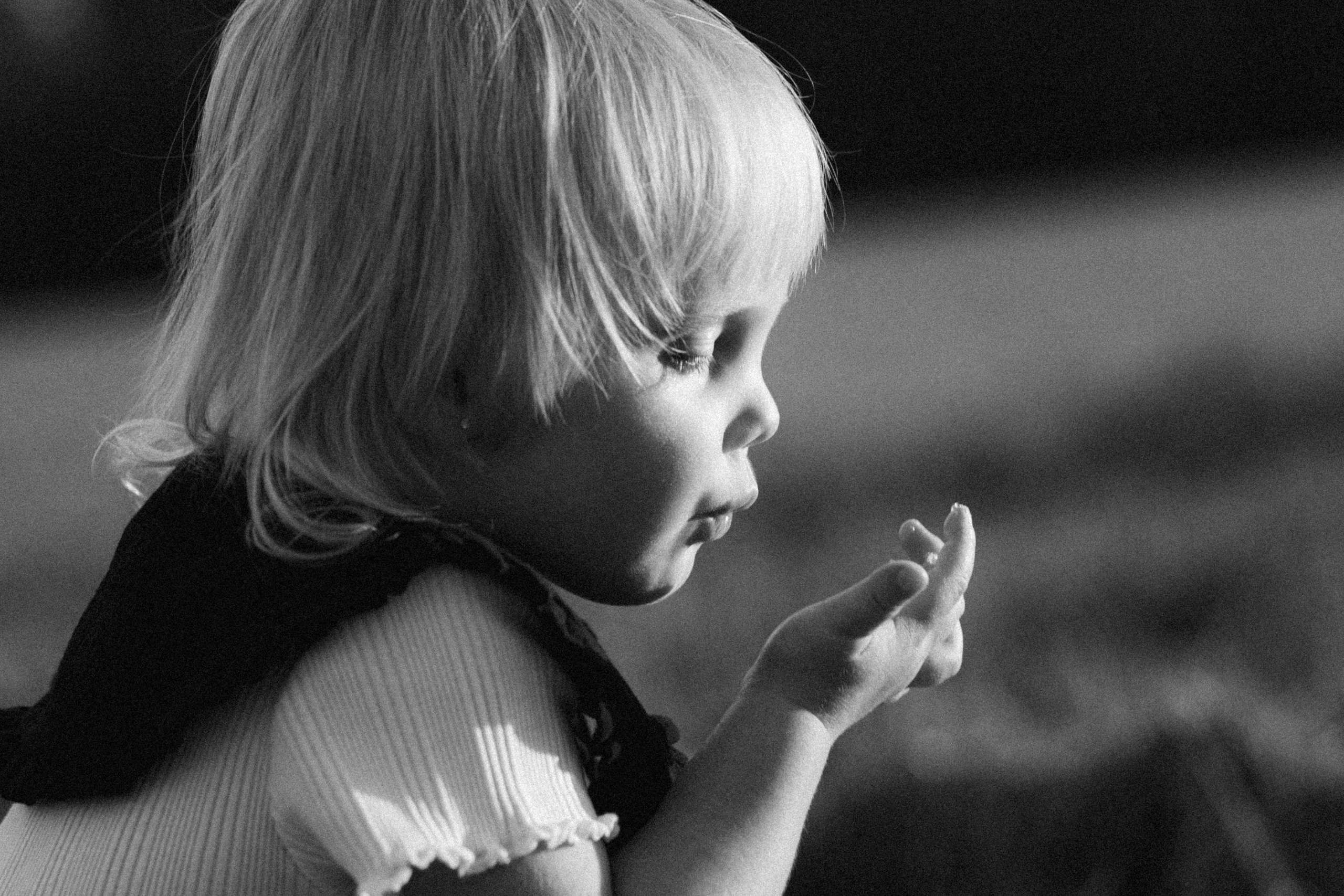 ДУБЫ. Cheta Kovalevsky фотографы