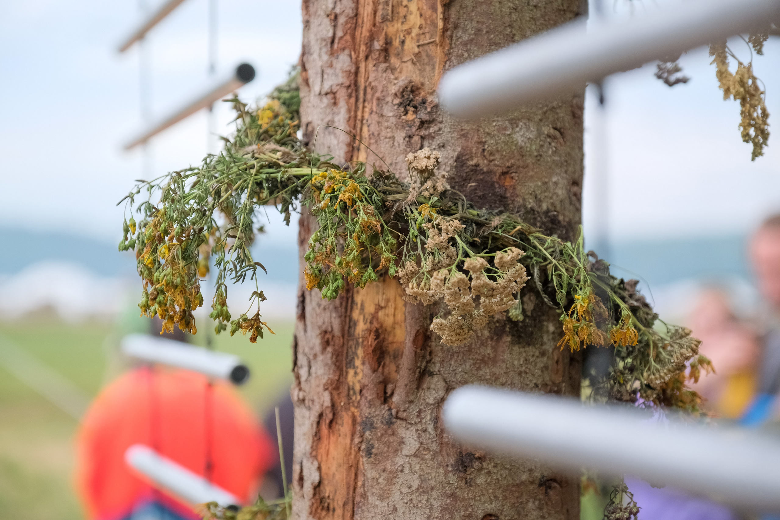 Фестиваль «Бессонница» 2025. Семейный и детский фотограф в Москве Светлана Потемкина