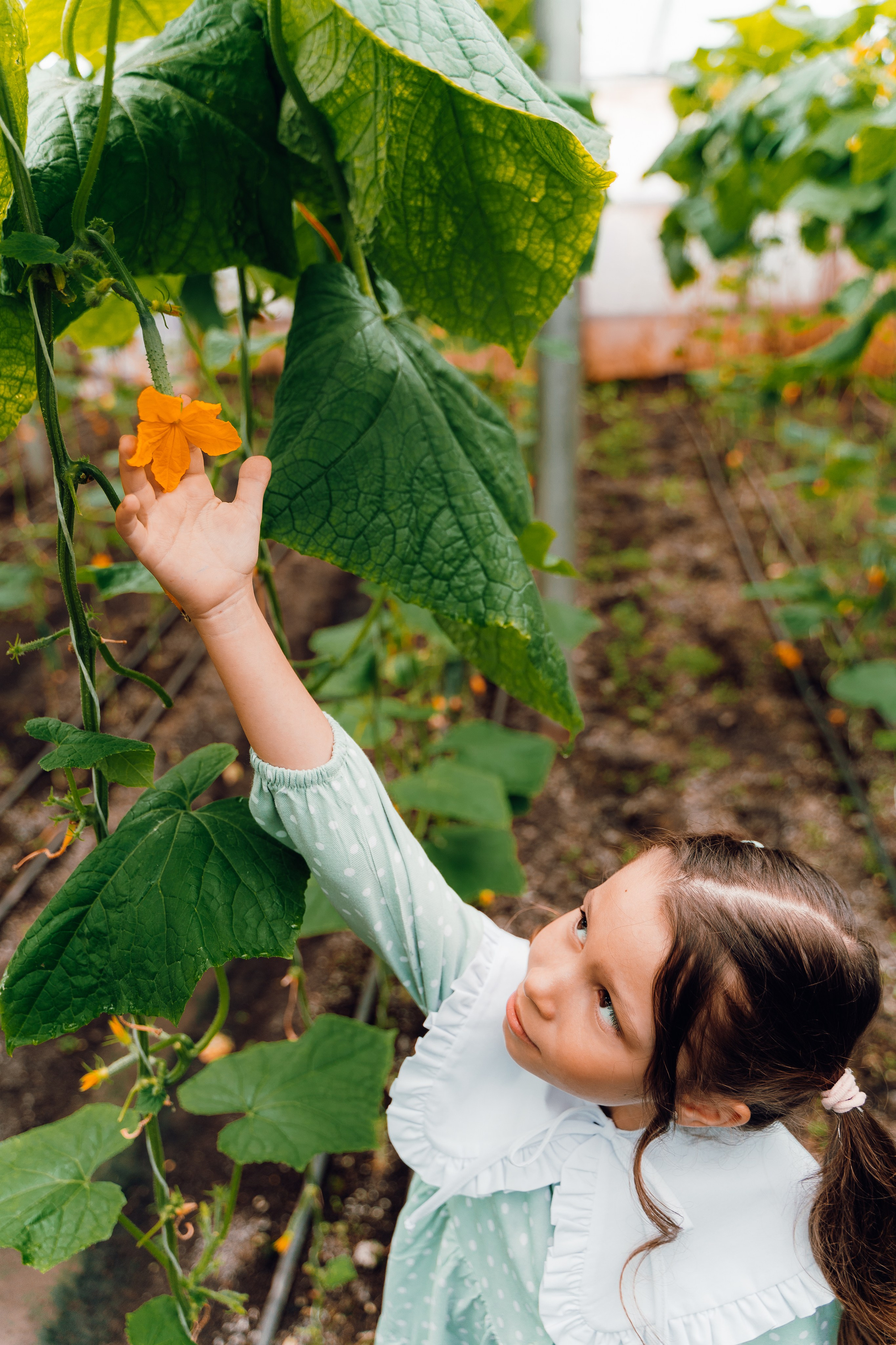 Огуречная история. Семейный и свадебный фотограф в Бугуруслане Екатерина Ронжина