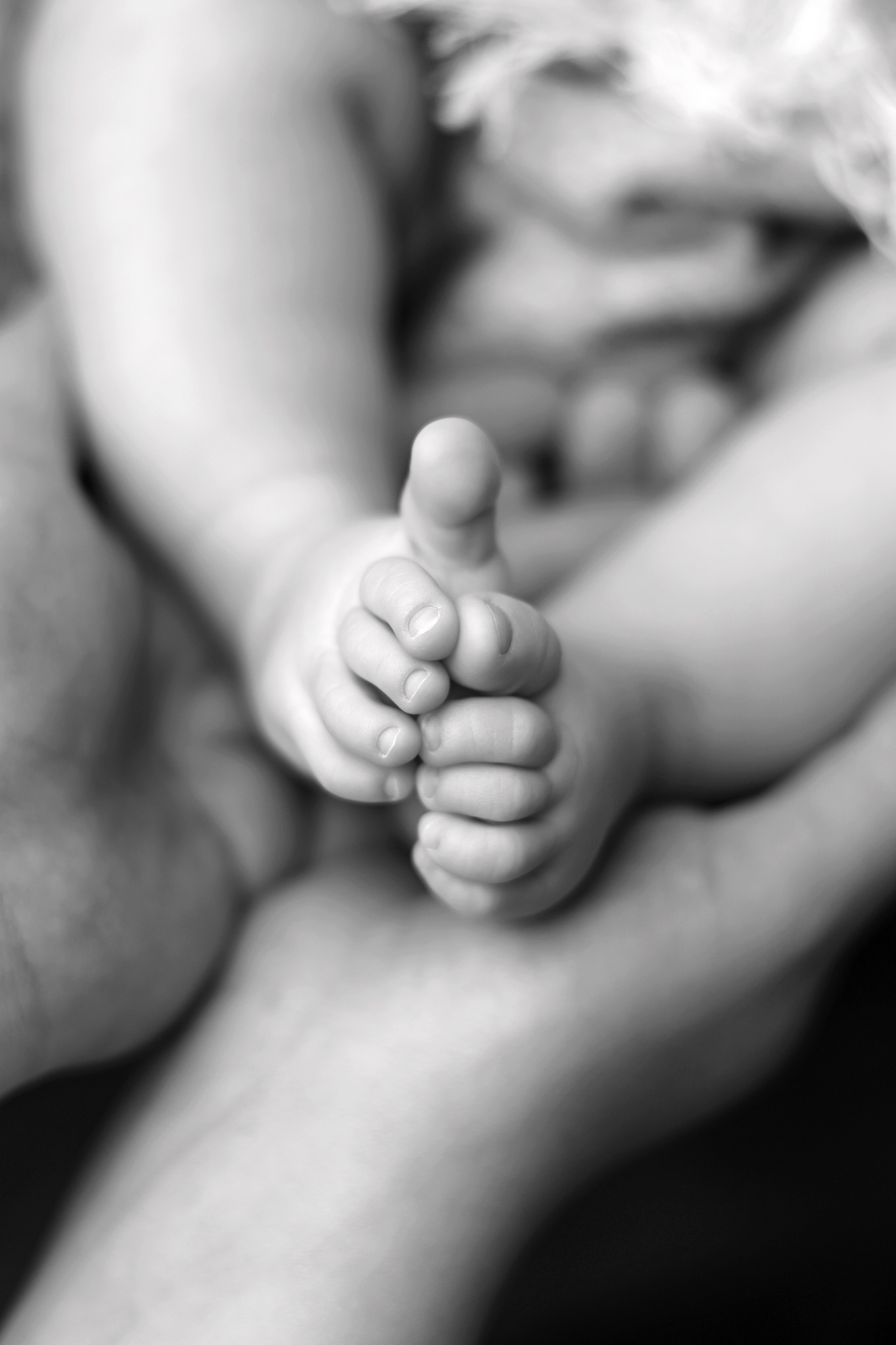 Мире 2,5 месяца. Фотограф новорожденных Москва. Ньюборн фотограф Москва