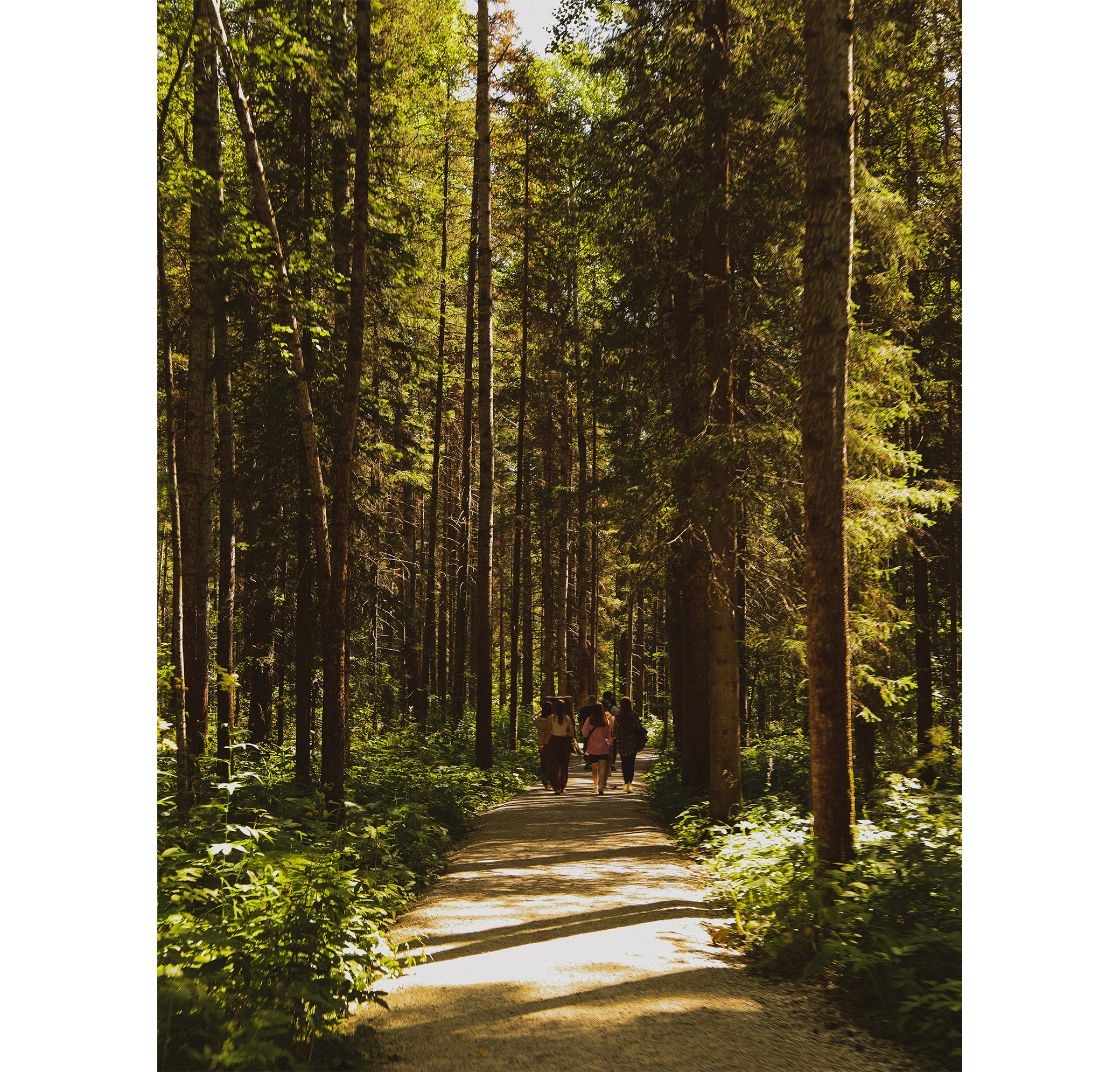 Summer hike. Фотограф/дизайнер в Екатеринбурге Хитрый Дмитрий