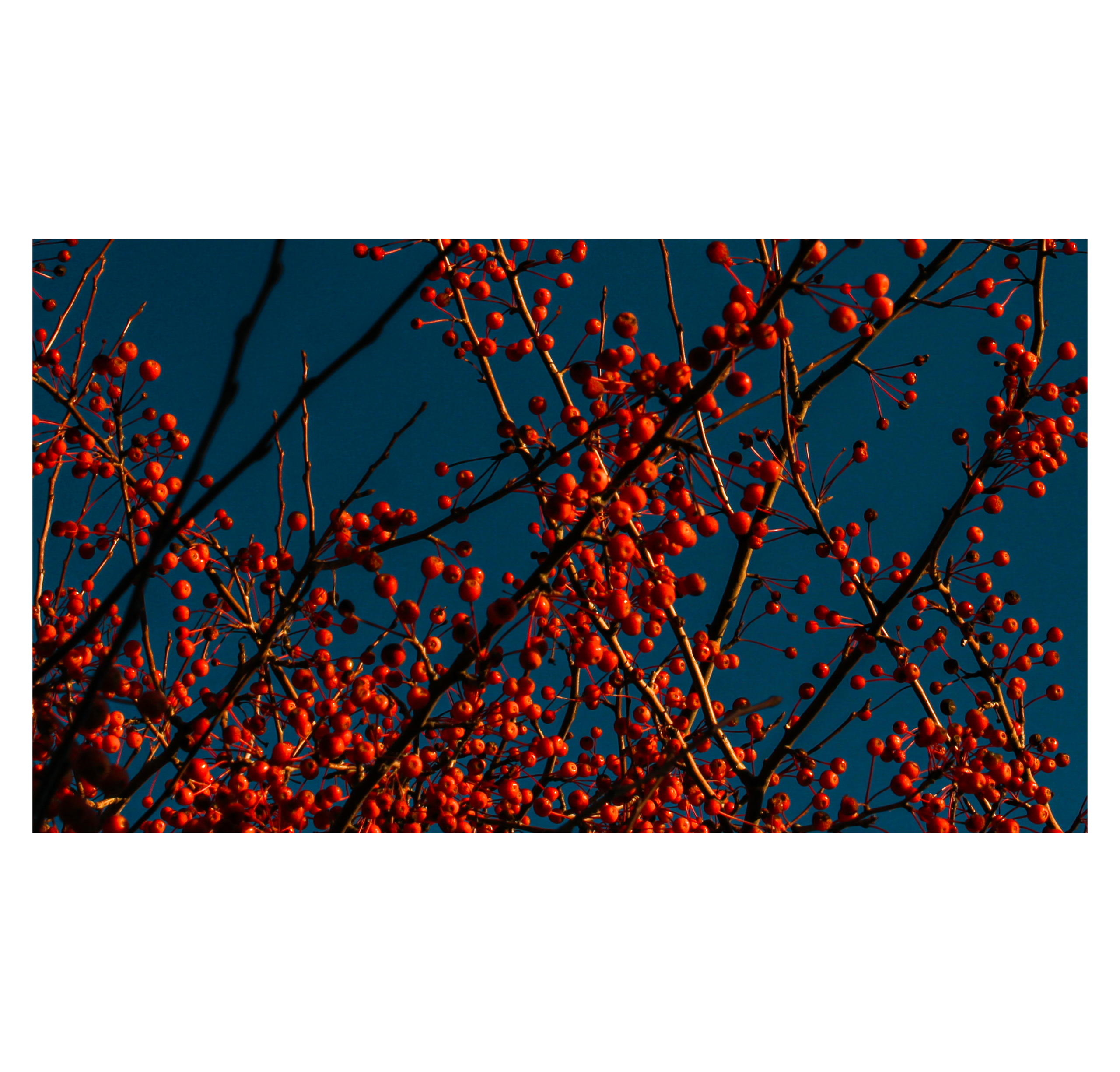 Shades of autumn. Фотограф/дизайнер в Екатеринбурге Хитрый Дмитрий