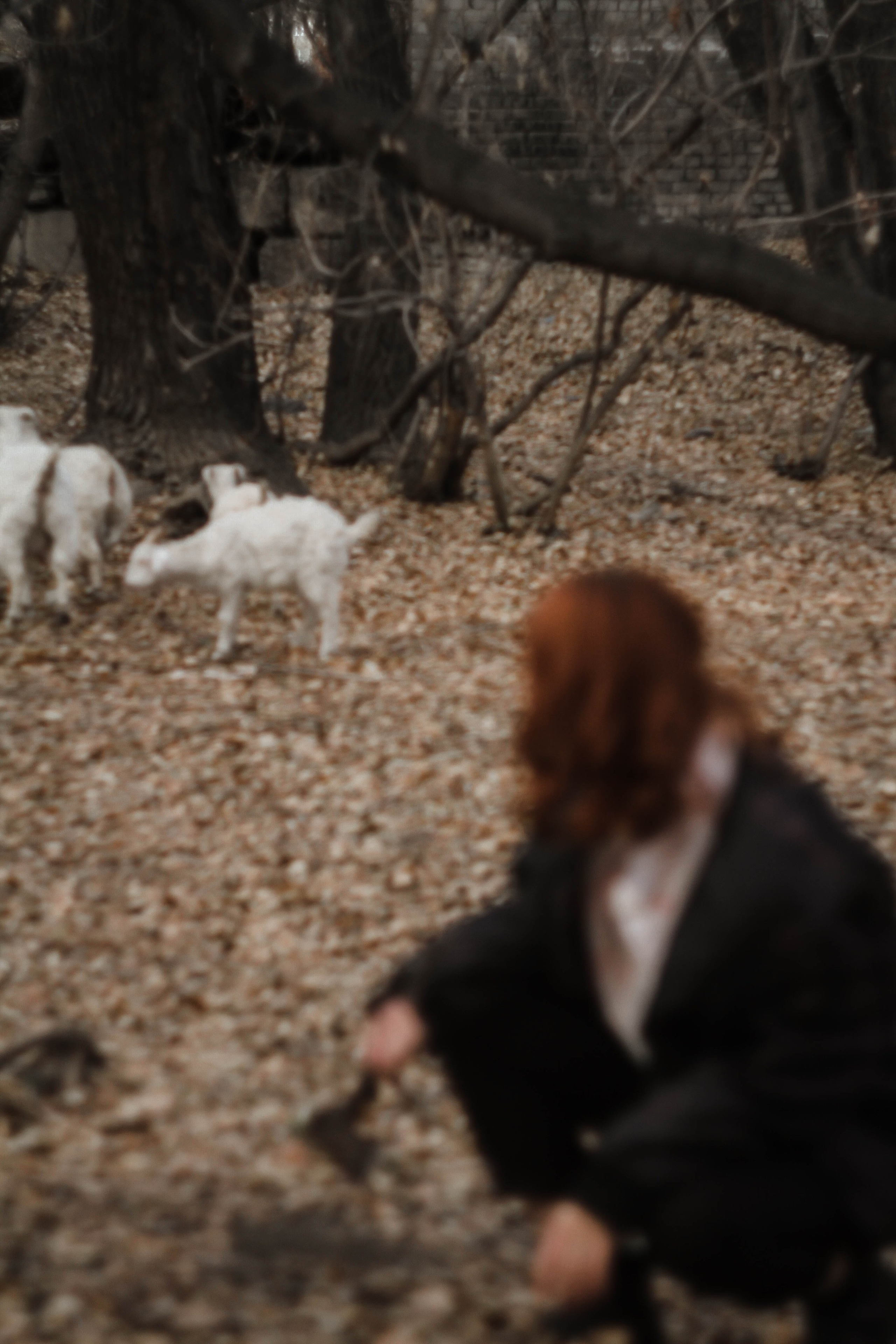Маша. Фотограф Мероприятий Новосибирск