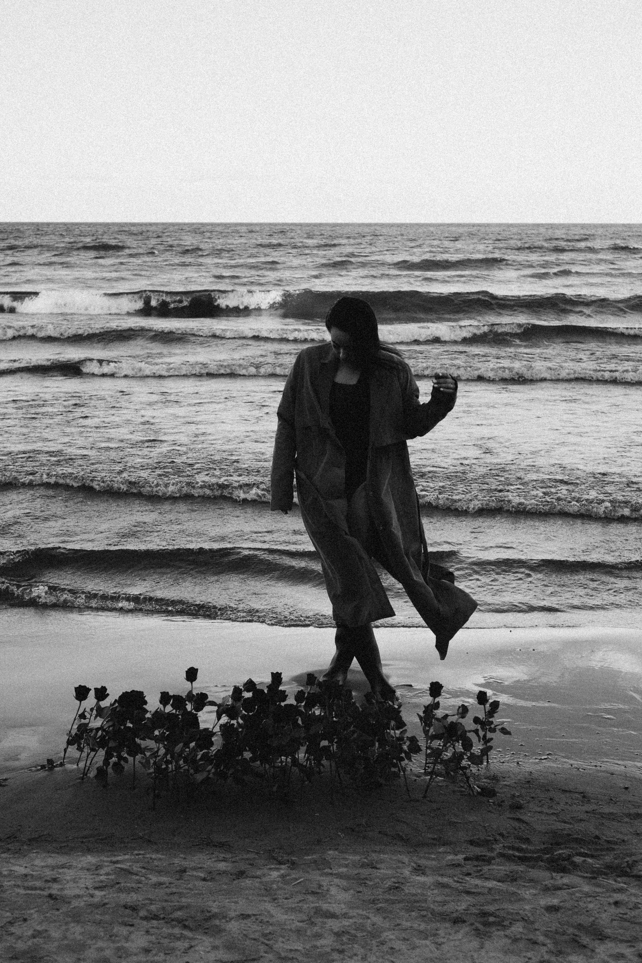 Розы. Профессиональный фотограф, Санкт-Петербург — Виктория Богомолова