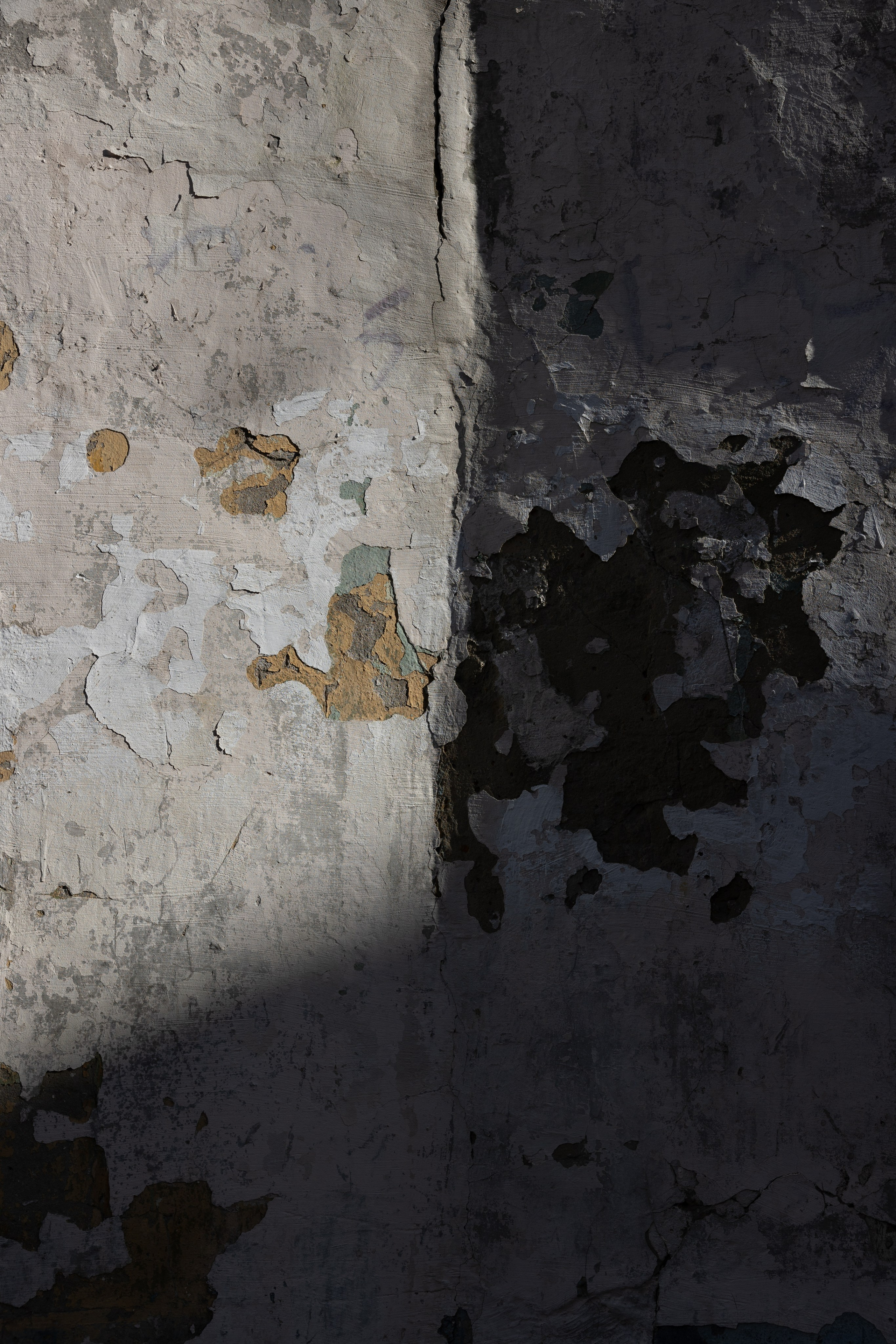 Art prints. Фотограф алина стерхова, алина стерхова фотограф, фотограф москва