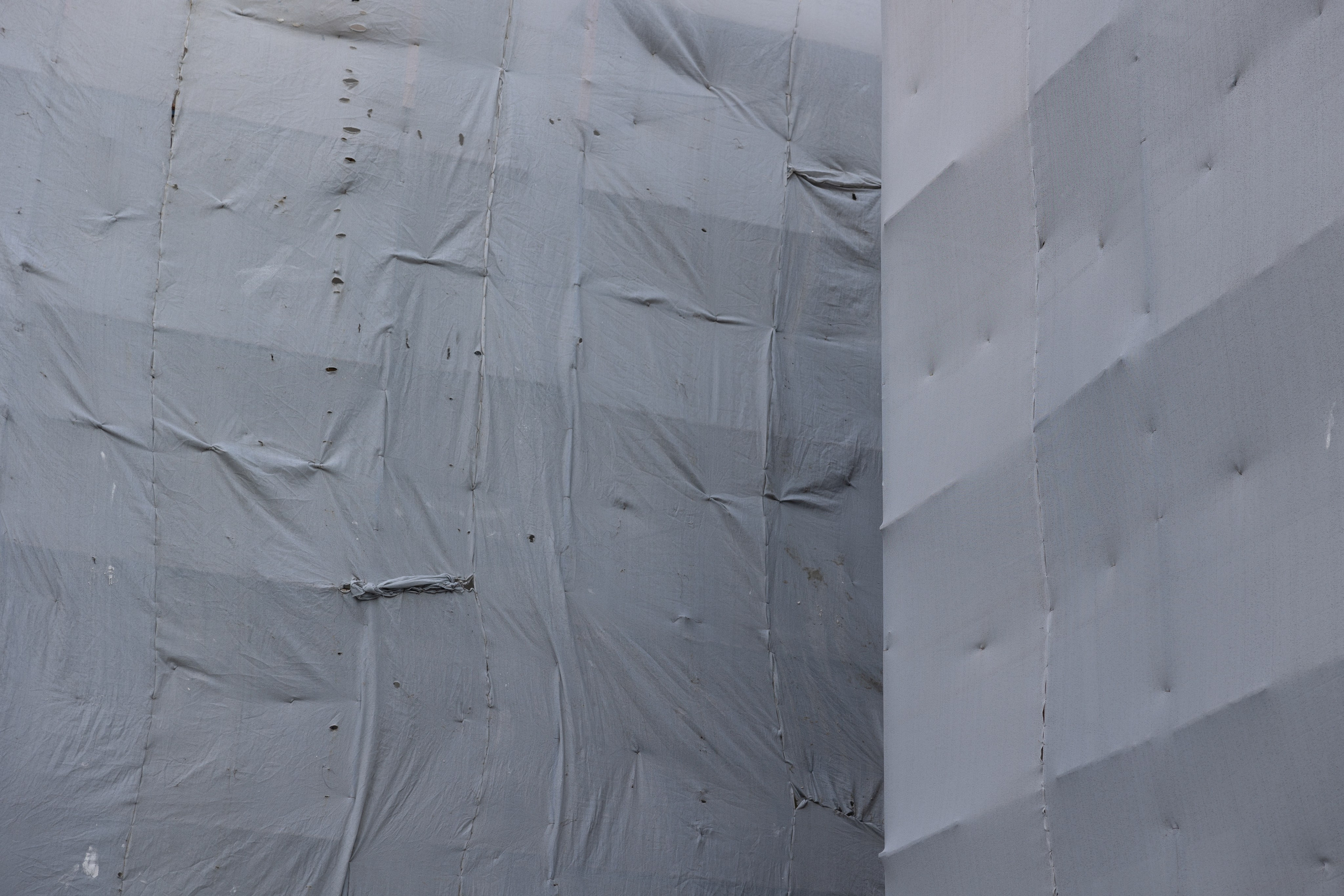 Art prints. Фотограф алина стерхова, алина стерхова фотограф, фотограф москва