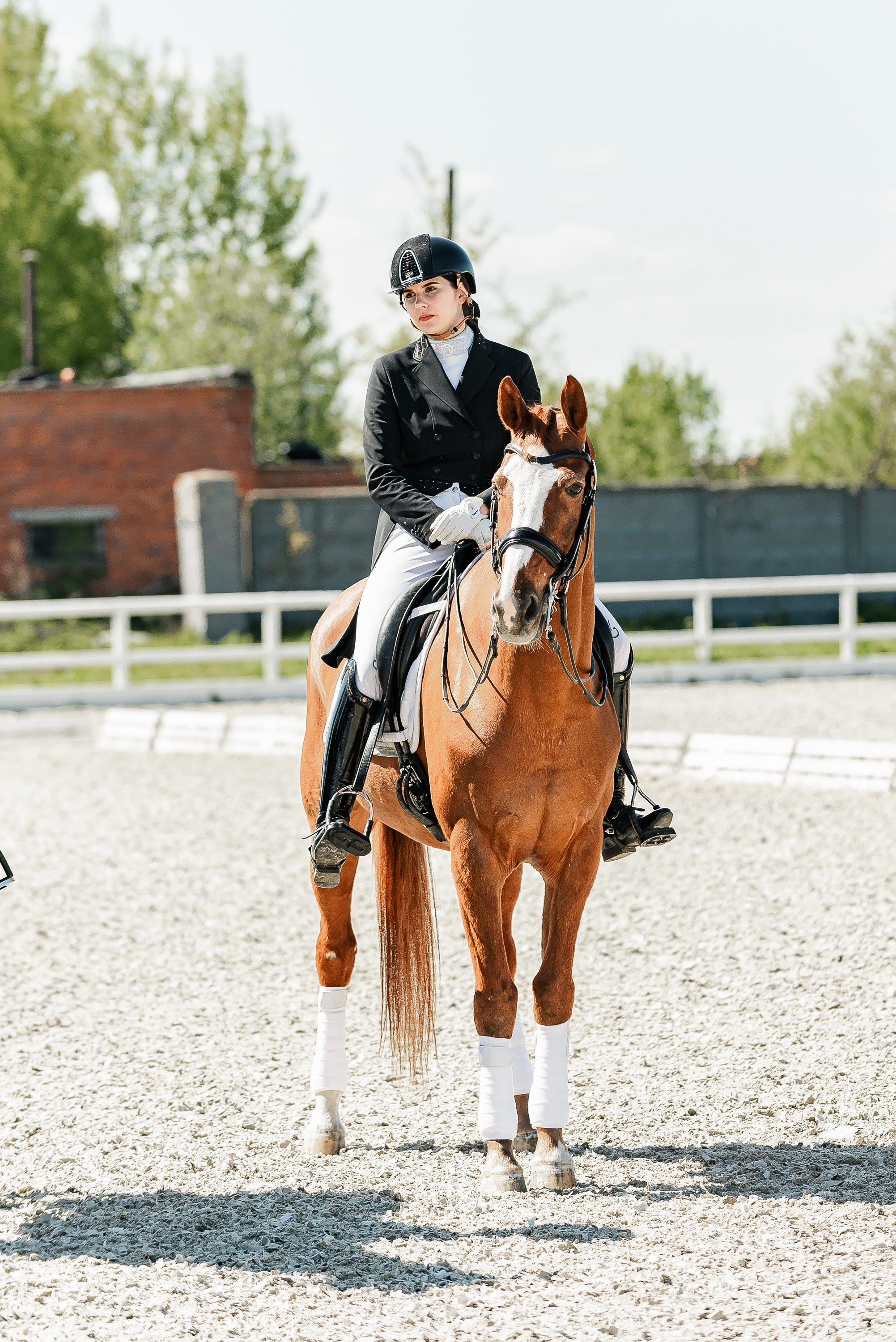 РЕПОРТАЖ МКК ВОЛЬТ «LA TULIPS». Конный фотограф Куракина Дарья • Фотосессии с лошадьми