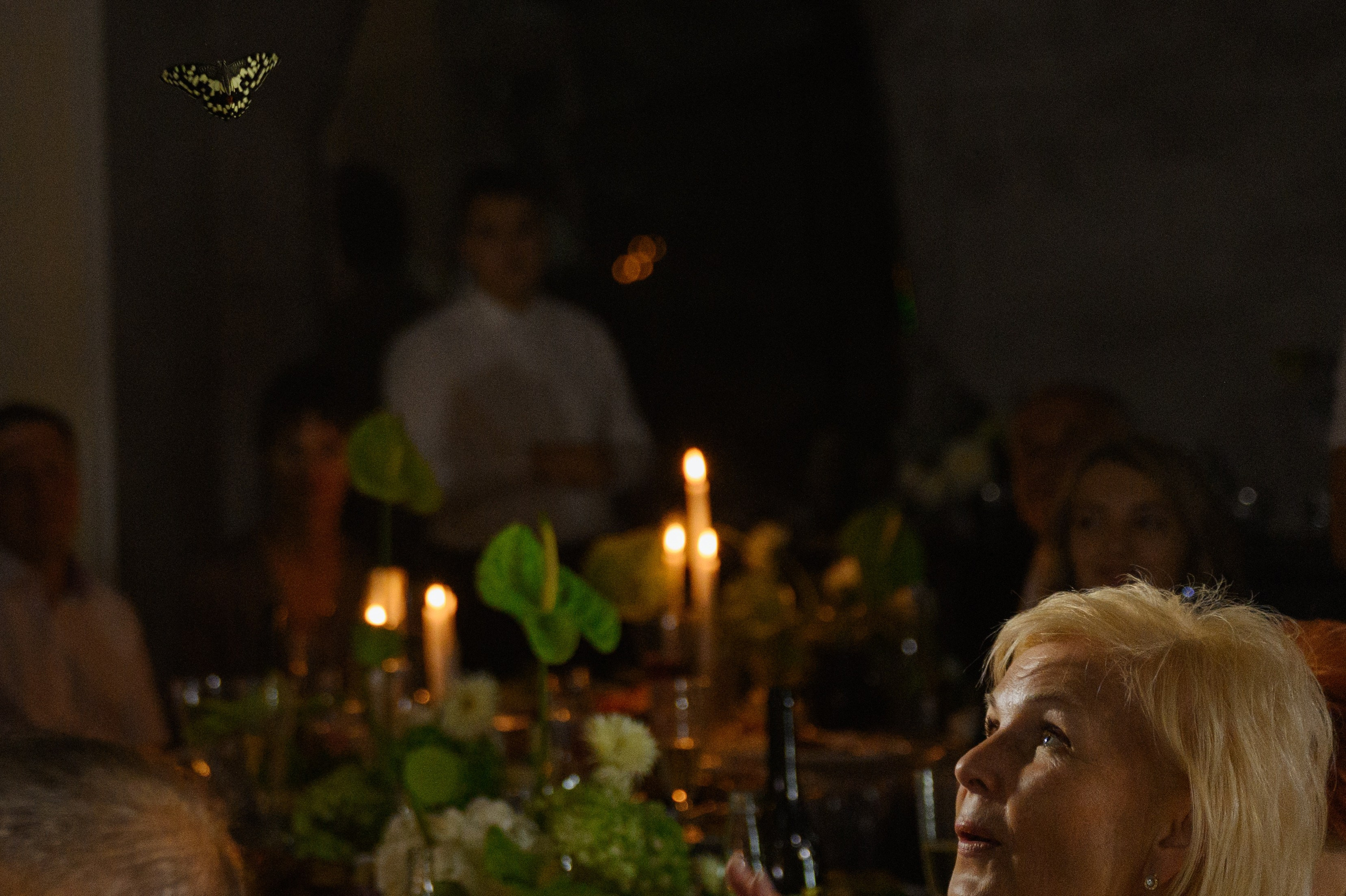 Никита и Ксения. Свадебный фотограф и видеограф