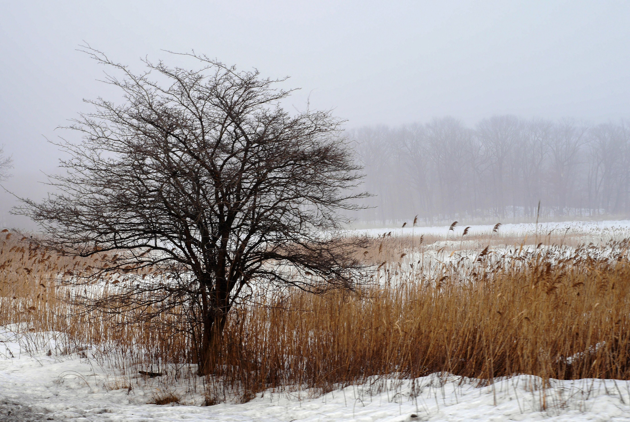 Пейзажи. Фотограф Дмитрий Алексеев