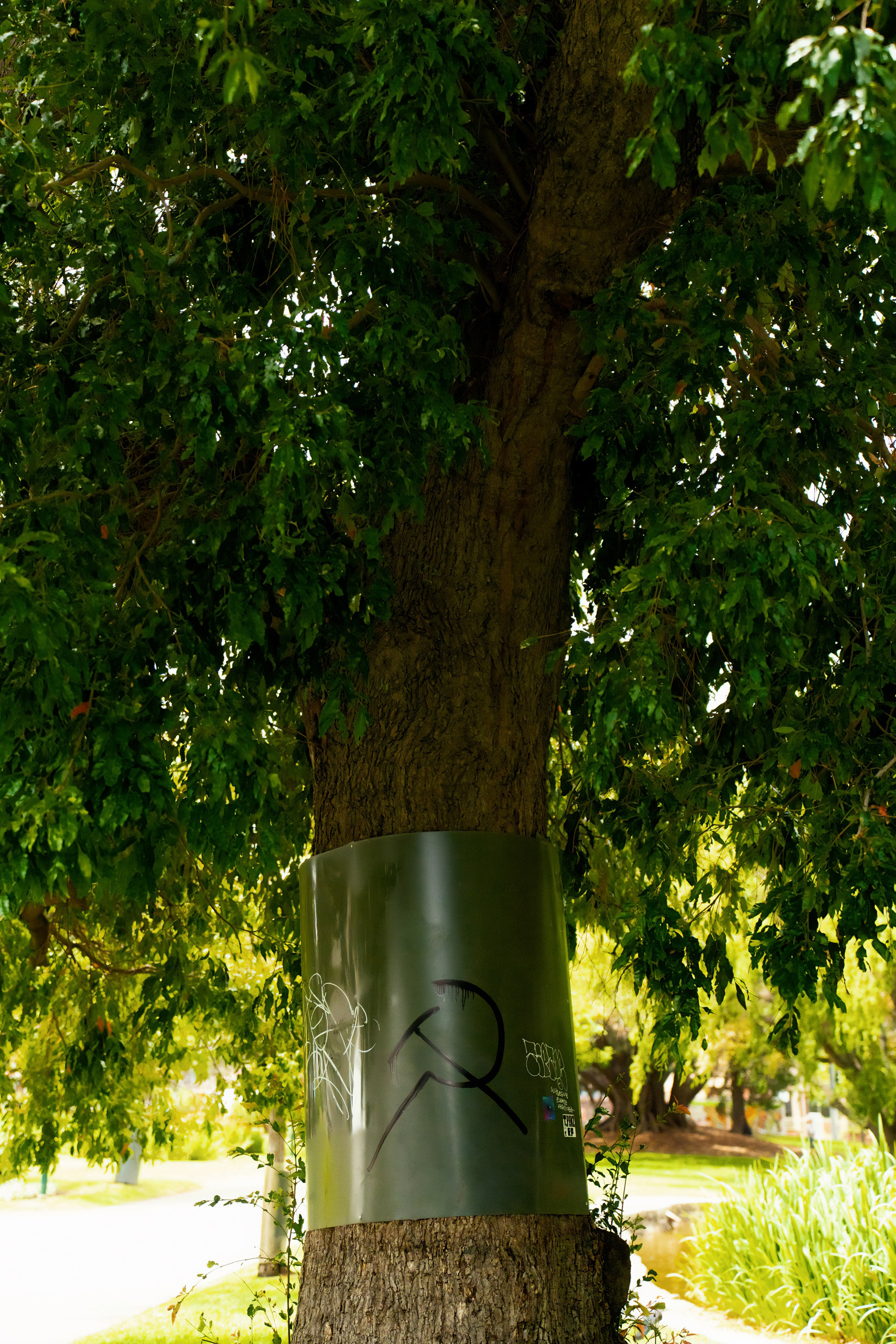 Австралия. Фотограф в Хабаровске. Фотография за 24 часа