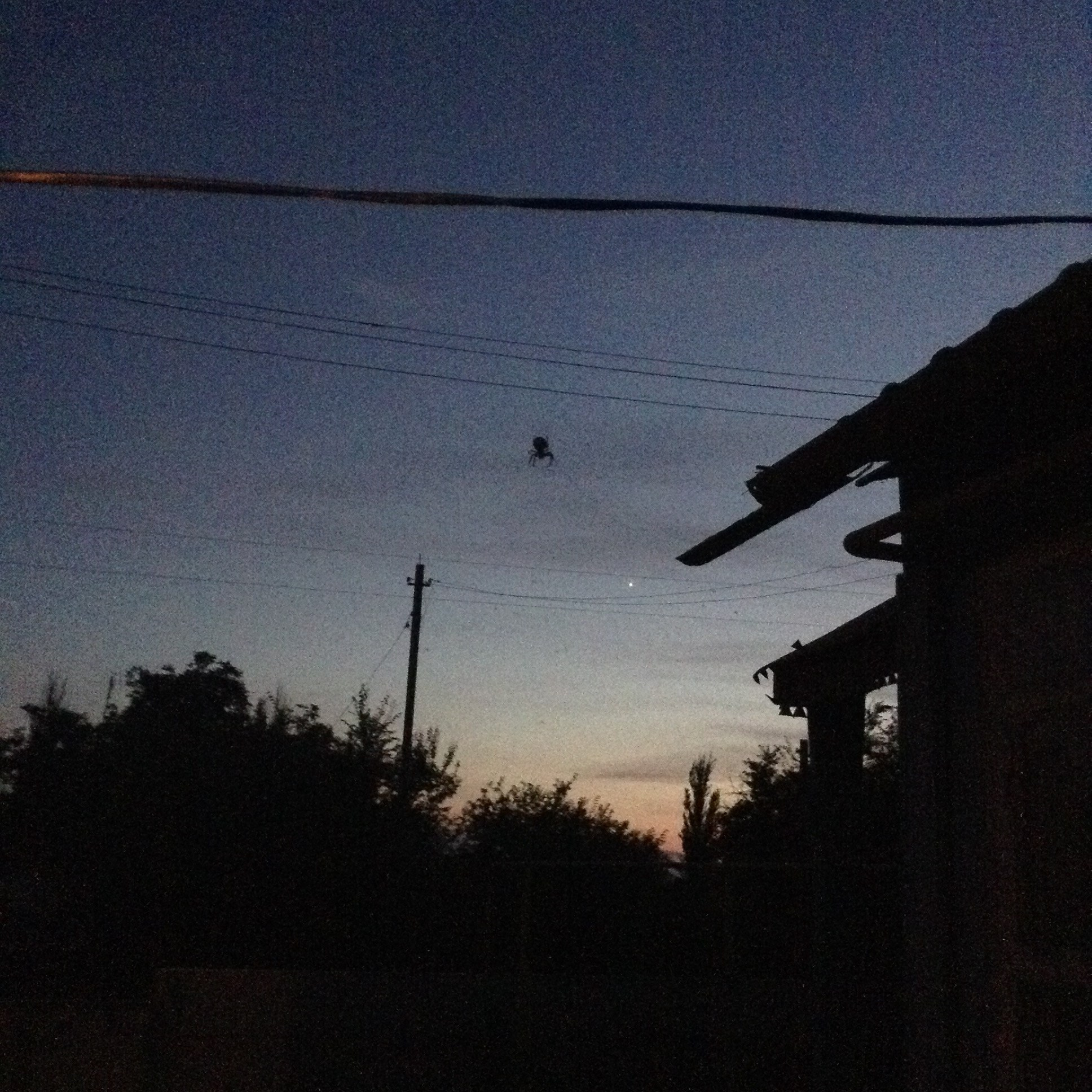 Визуальный дневник. Портретный фотограф в Москве Гахраманова Екатерина