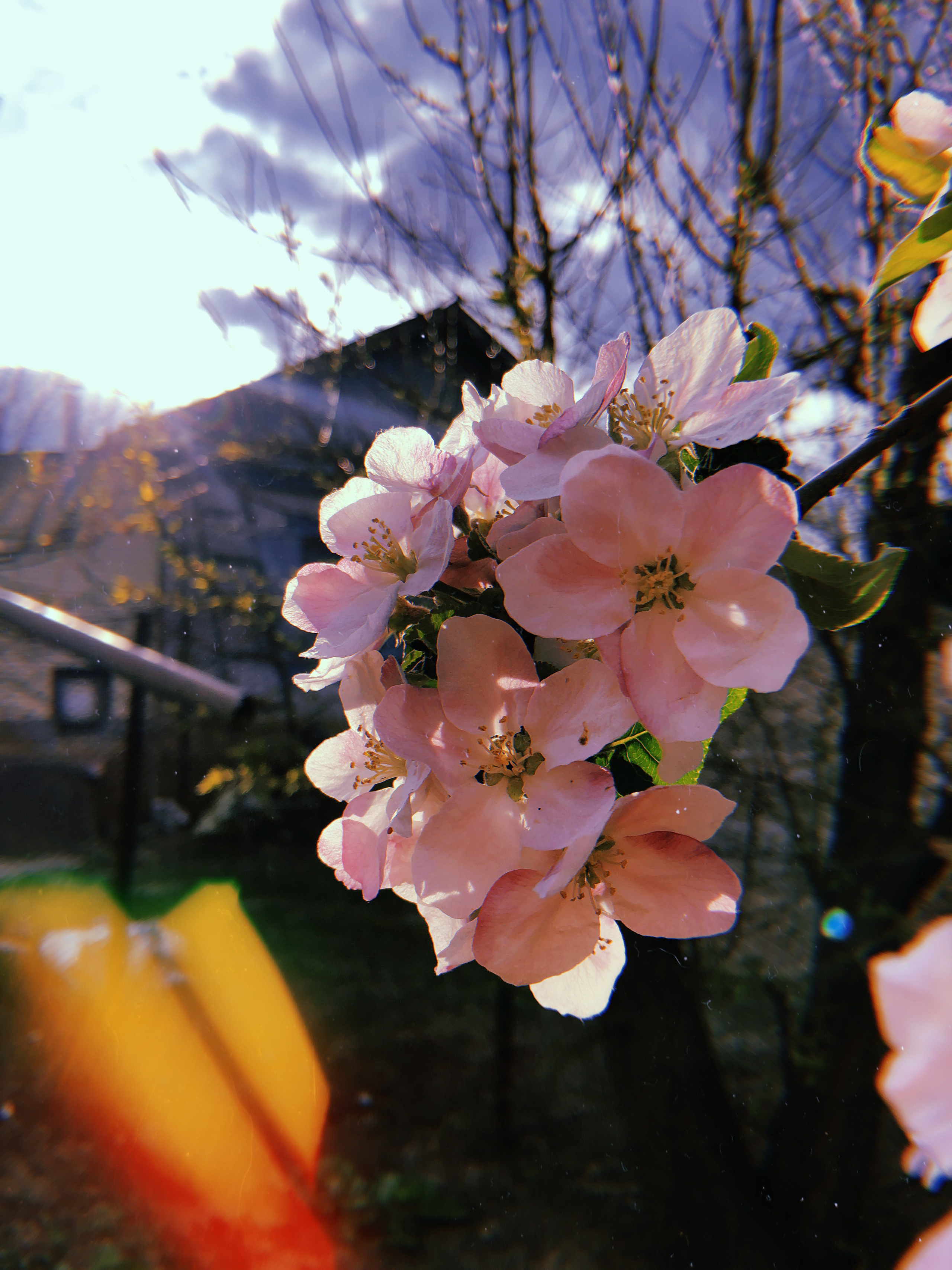 Визуальный дневник. Портретный фотограф в Москве Гахраманова Екатерина