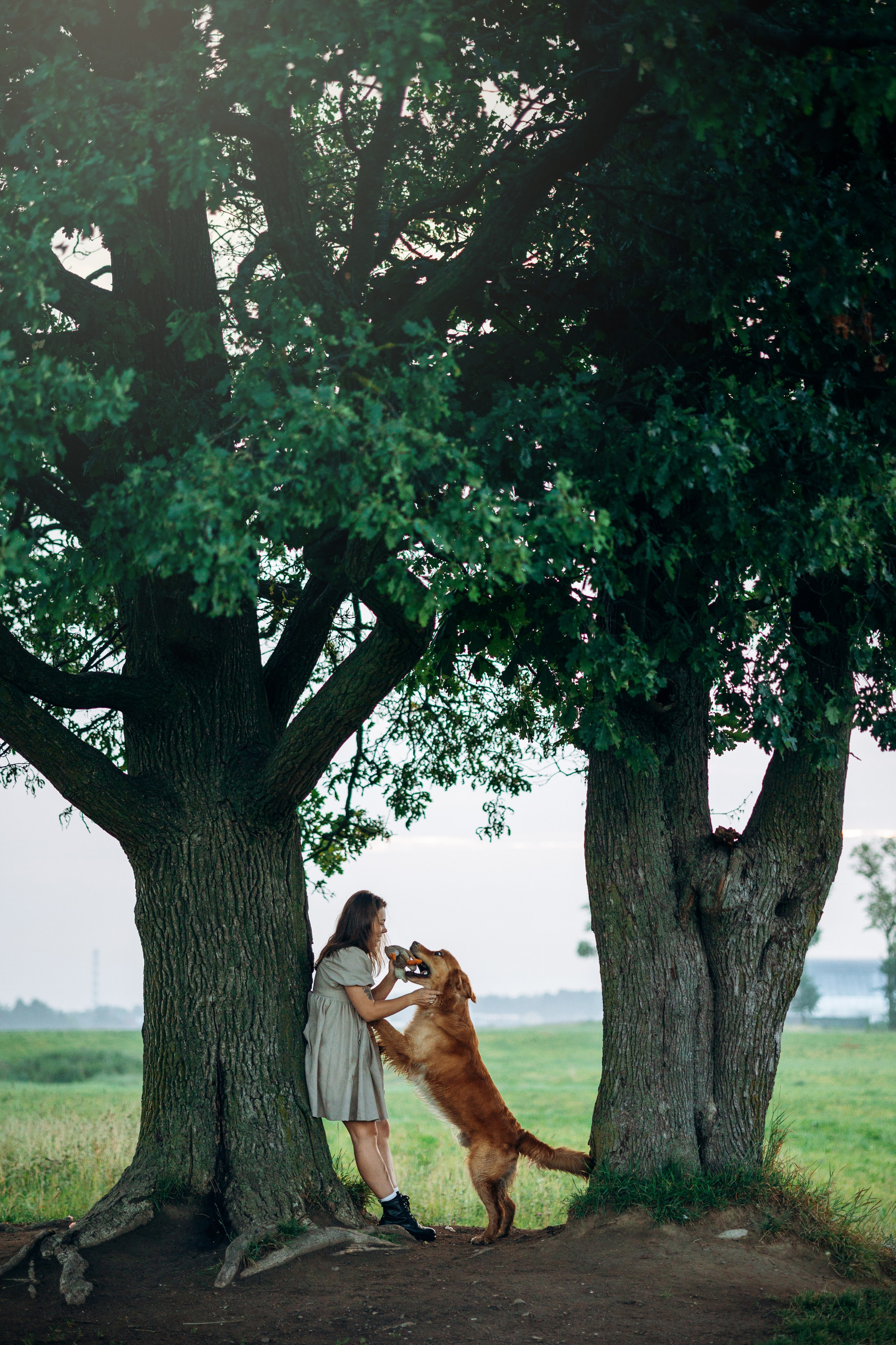 Аня и Ноллан. Фотограф — Анималист | Санкт-Петербург