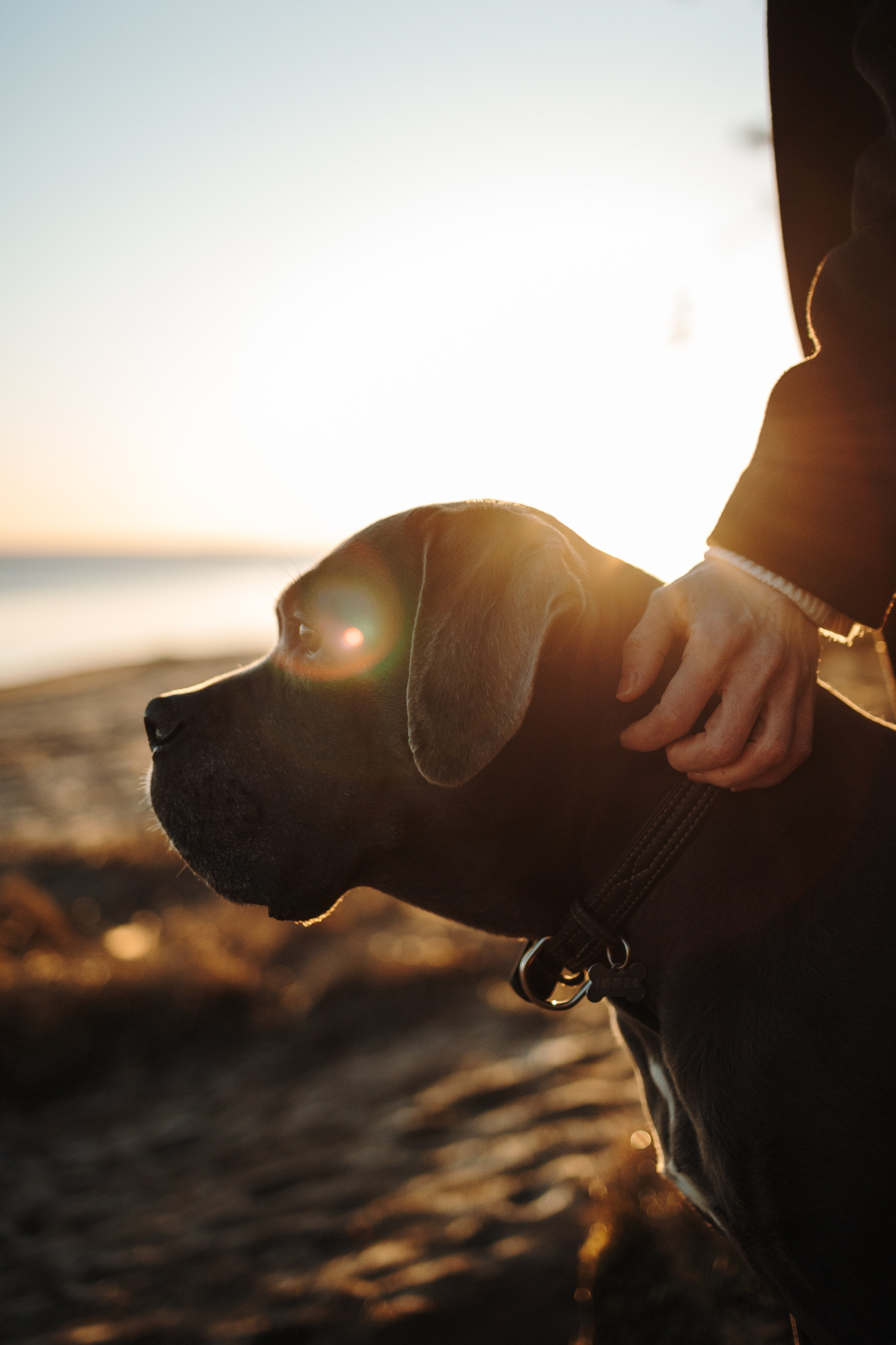 Анна и Лана. Фотограф — Анималист | Санкт-Петербург