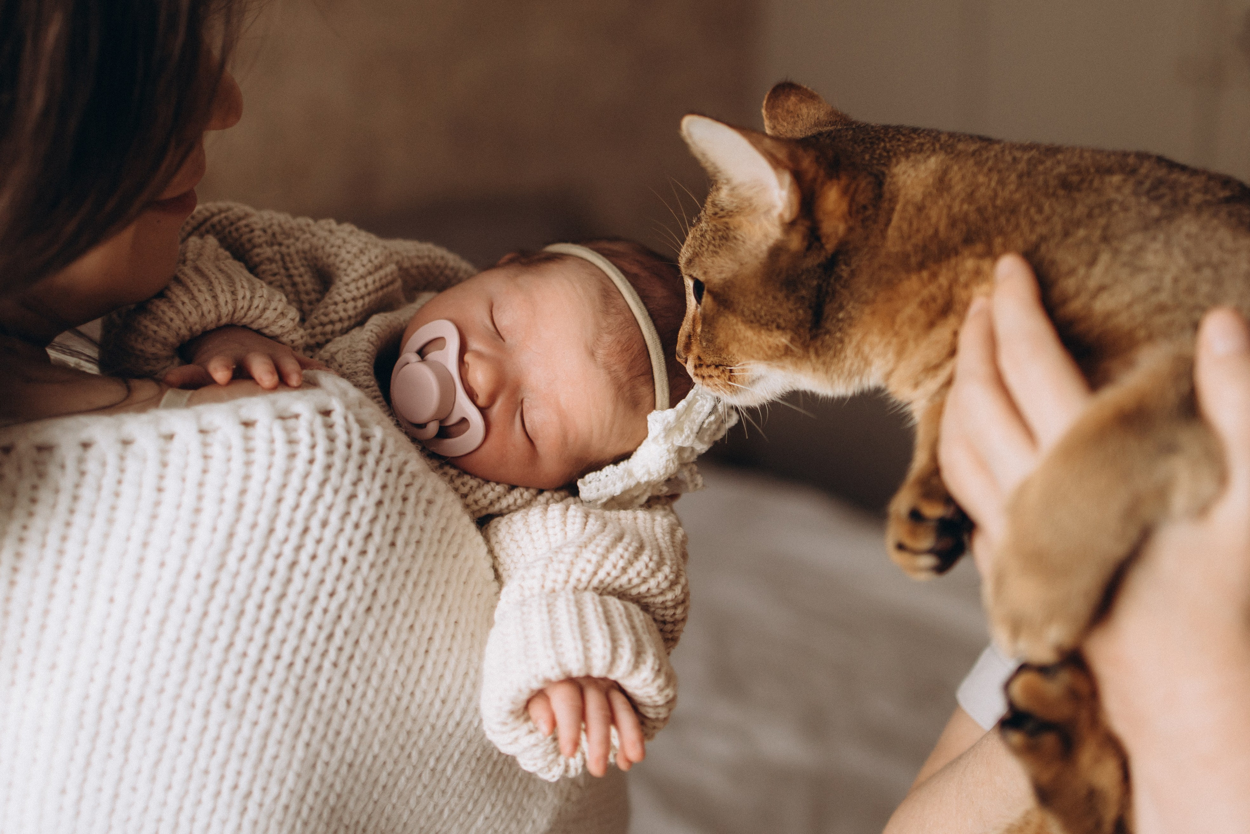 Три поколения женской силы. Семейный фотограф в Москве, Щелково, Фрязино _ Виктория Степанова