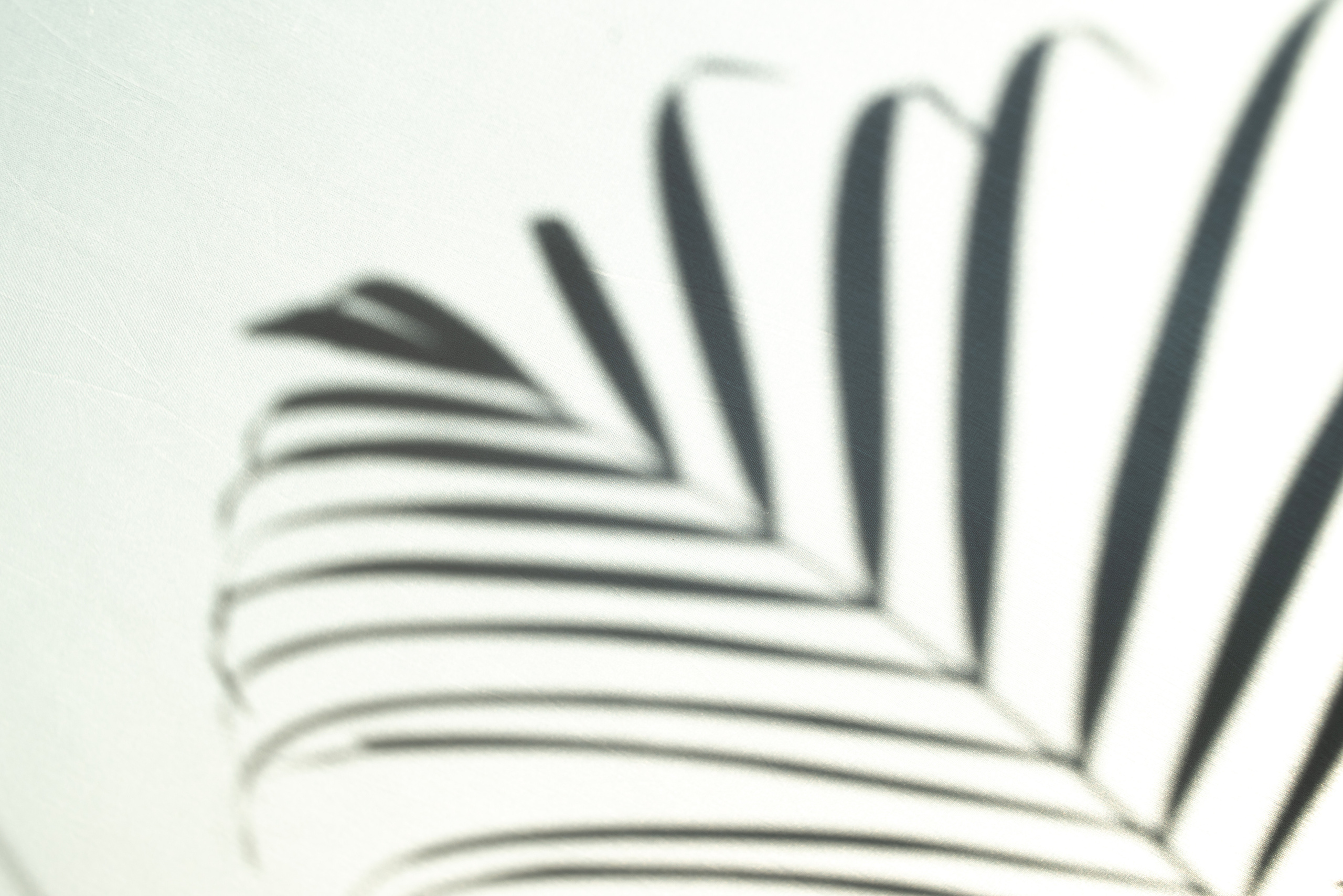 Предметная фотография. Фотограф Краков и Малопольска