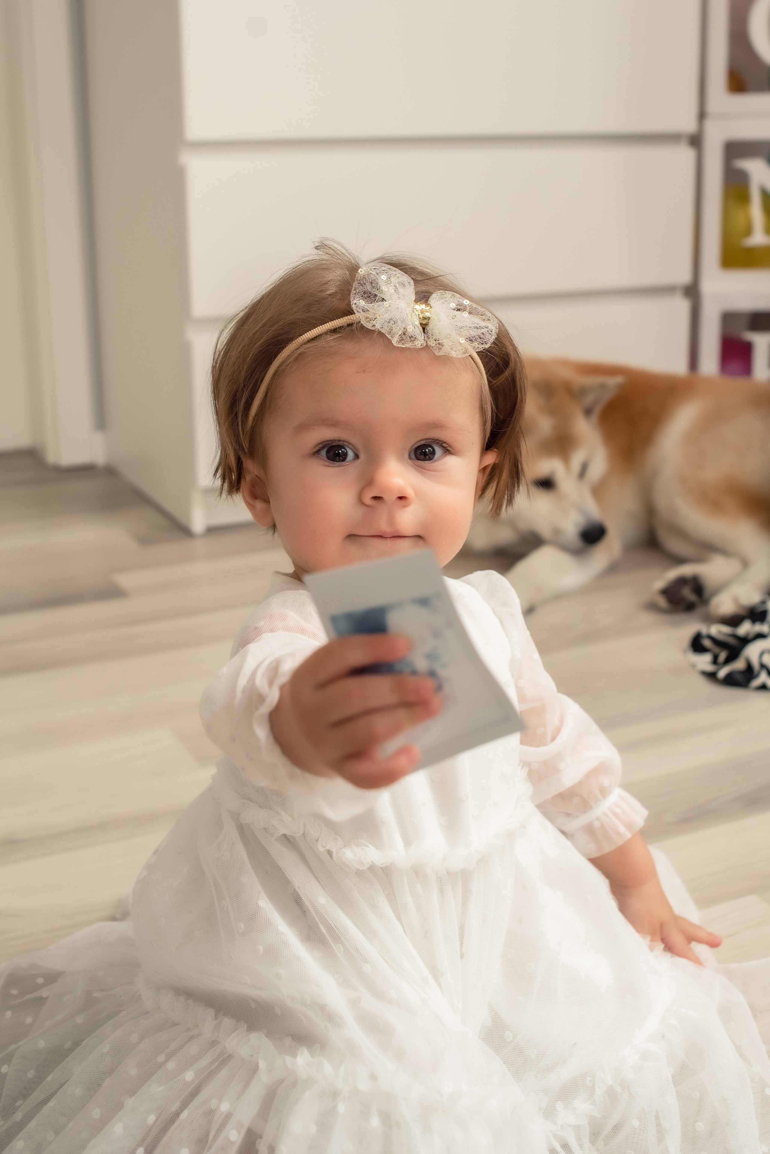 Urodziny. Fotograf w Krakowie Irina Satserdova