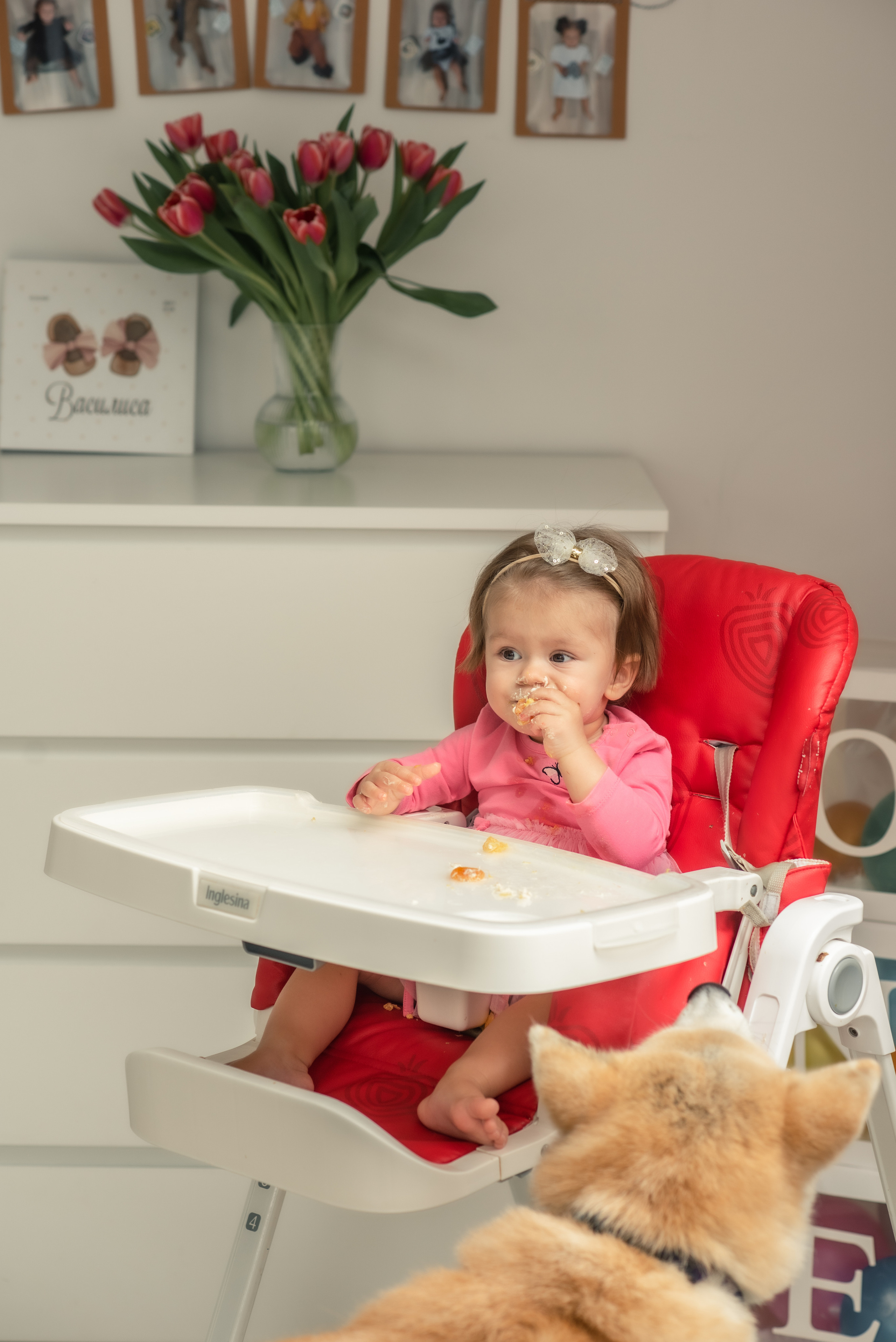 Urodziny. Fotograf w Krakowie Irina Satserdova