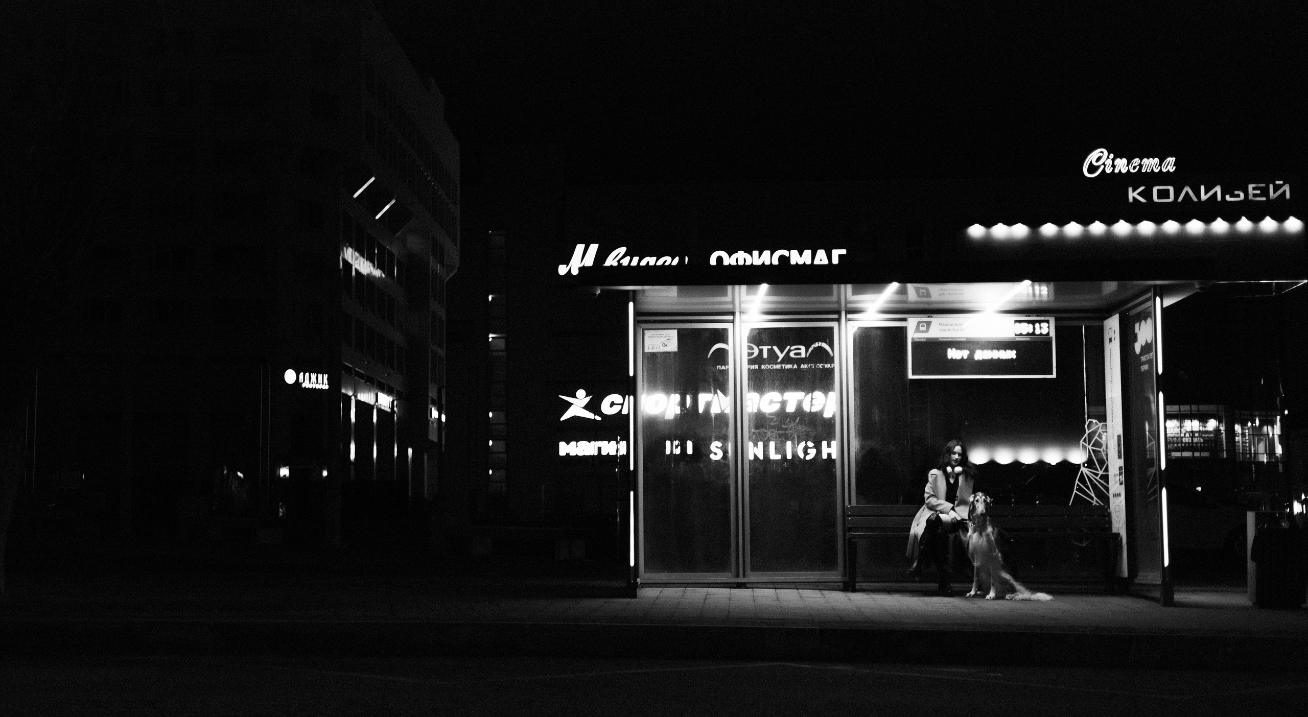 Алёна и Леви. Фотограф-анималист Богданова Полина