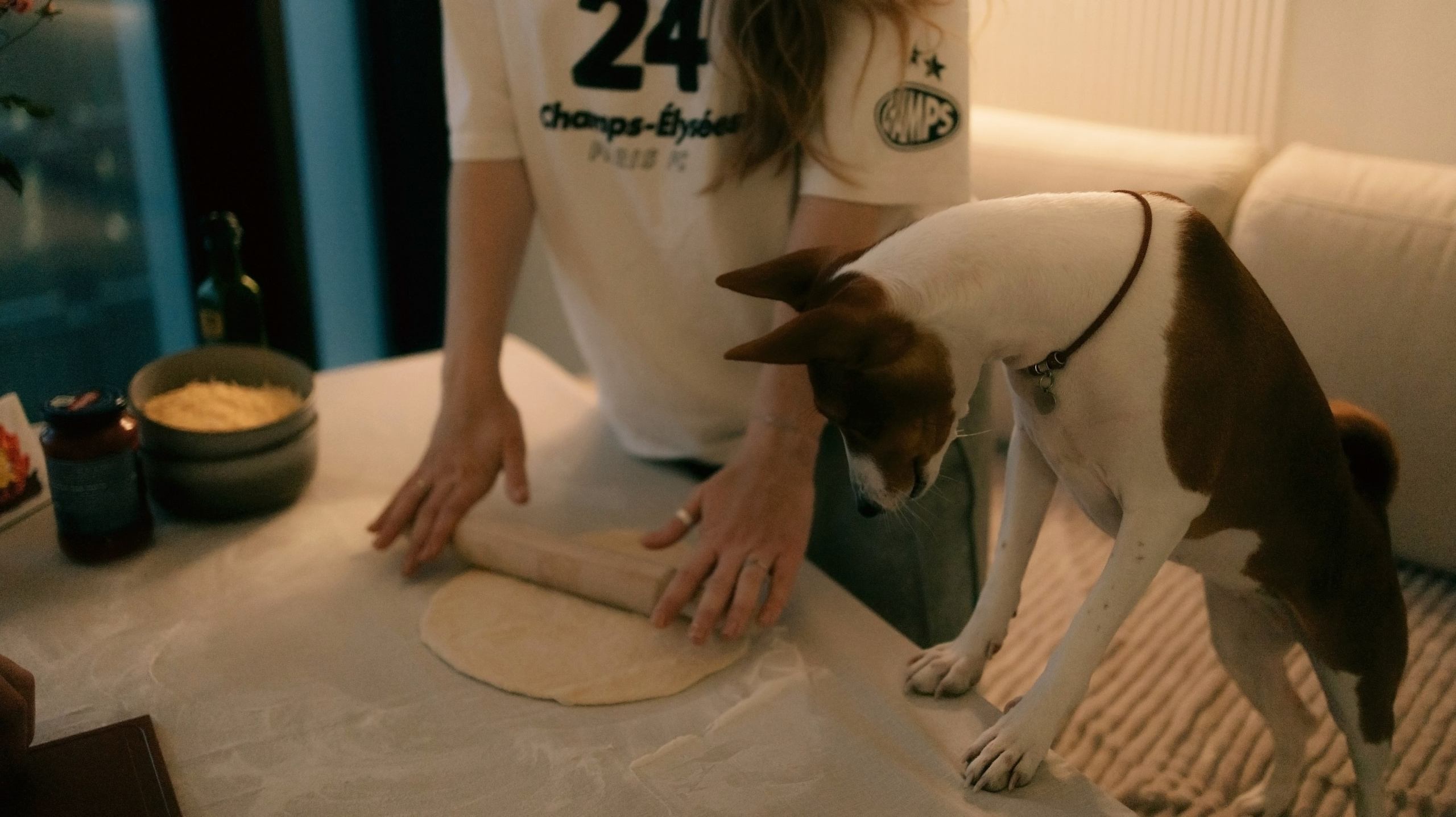 Люба, Никита и Бахати. Фотограф-анималист Богданова Полина