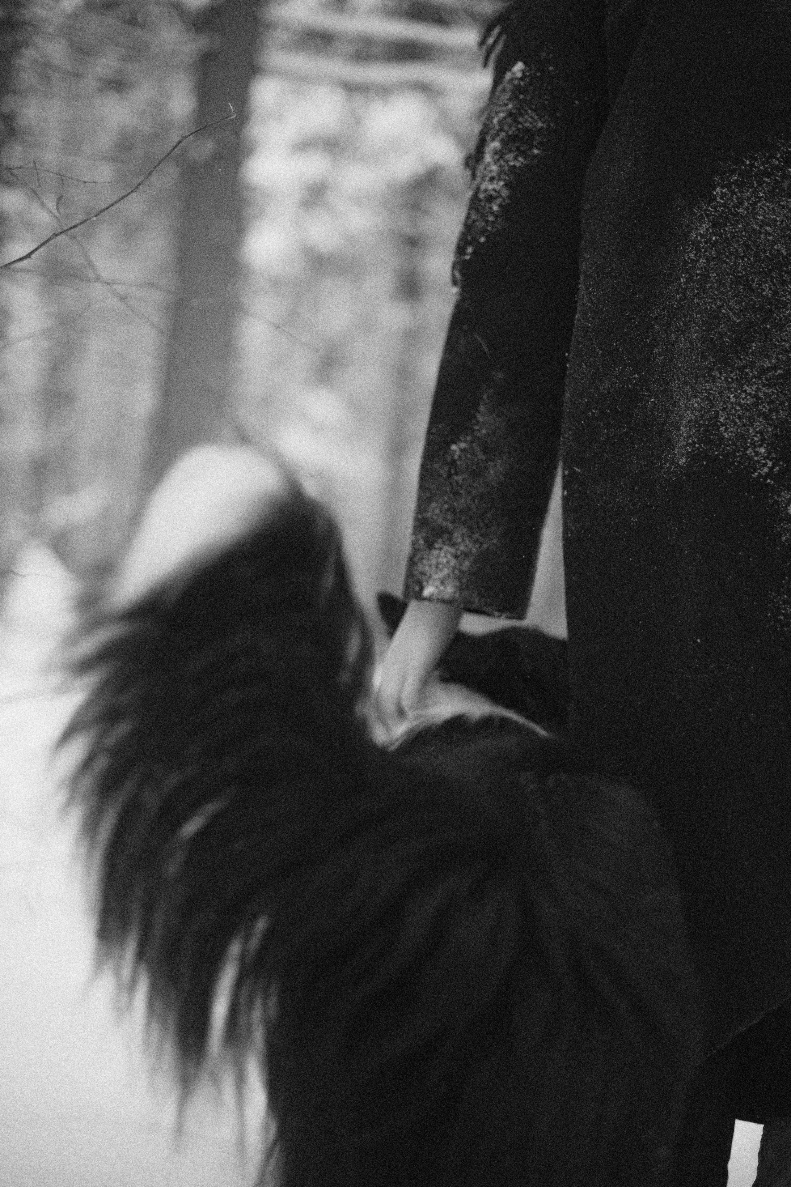 Алина и Найт. Фотограф-анималист Богданова Полина