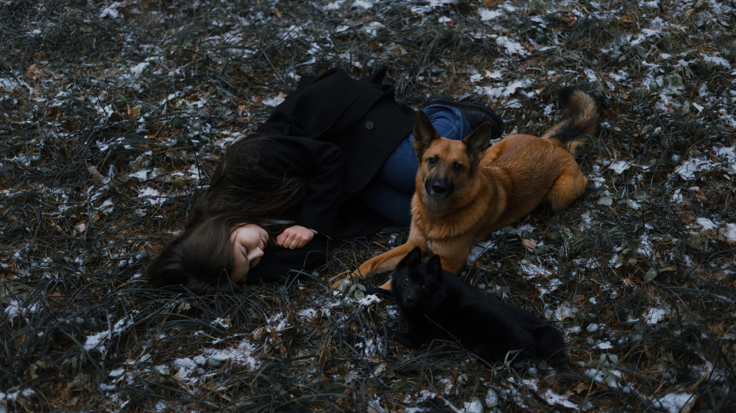 Юля, Лара и Йоми. Фотограф-анималист Богданова Полина