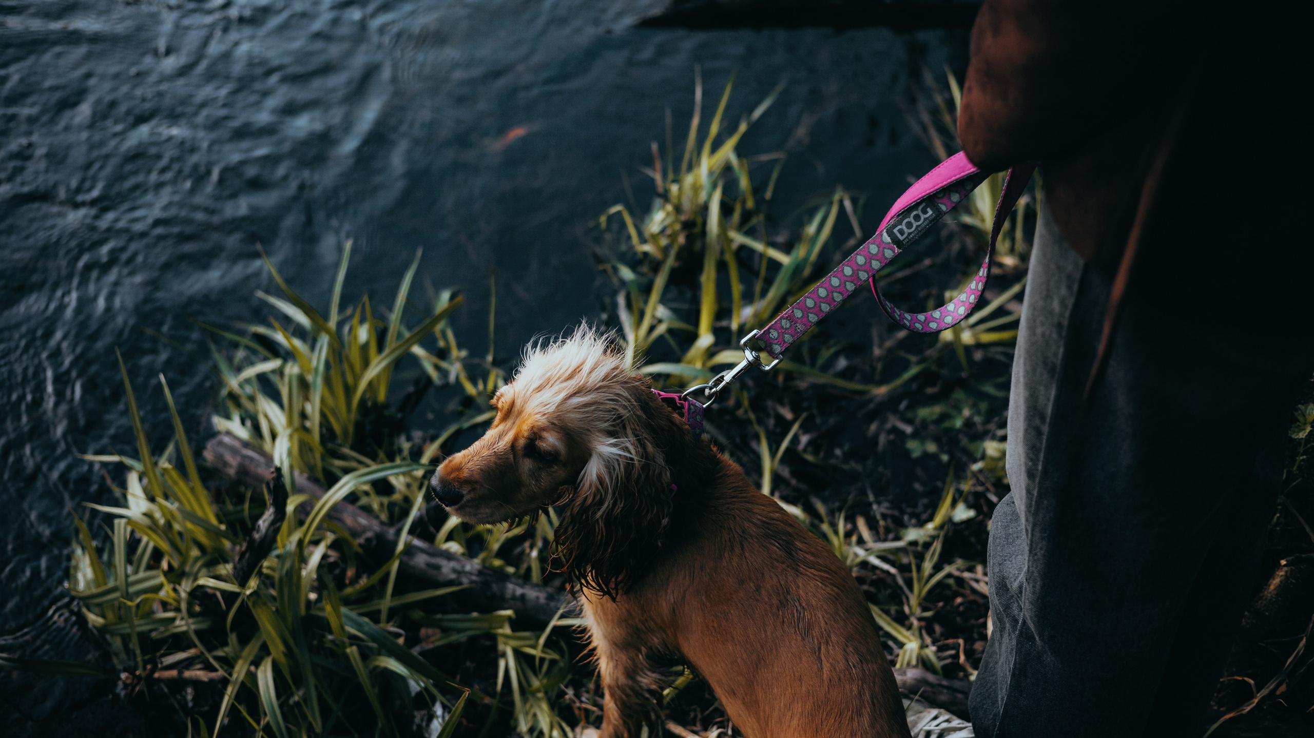Аня и Юта. Фотограф-анималист Богданова Полина