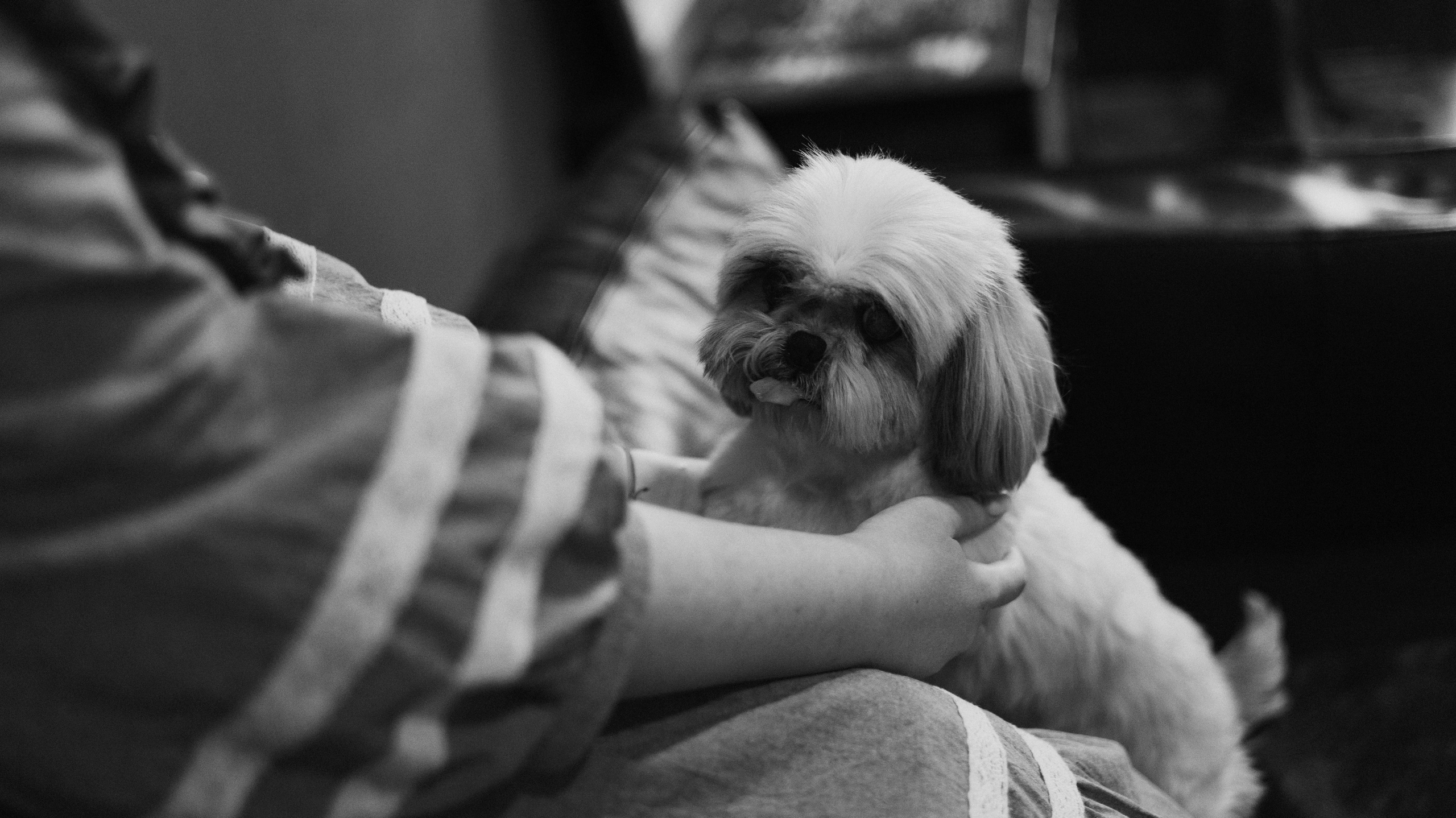 Ирина и Винни. Фотограф-анималист Богданова Полина