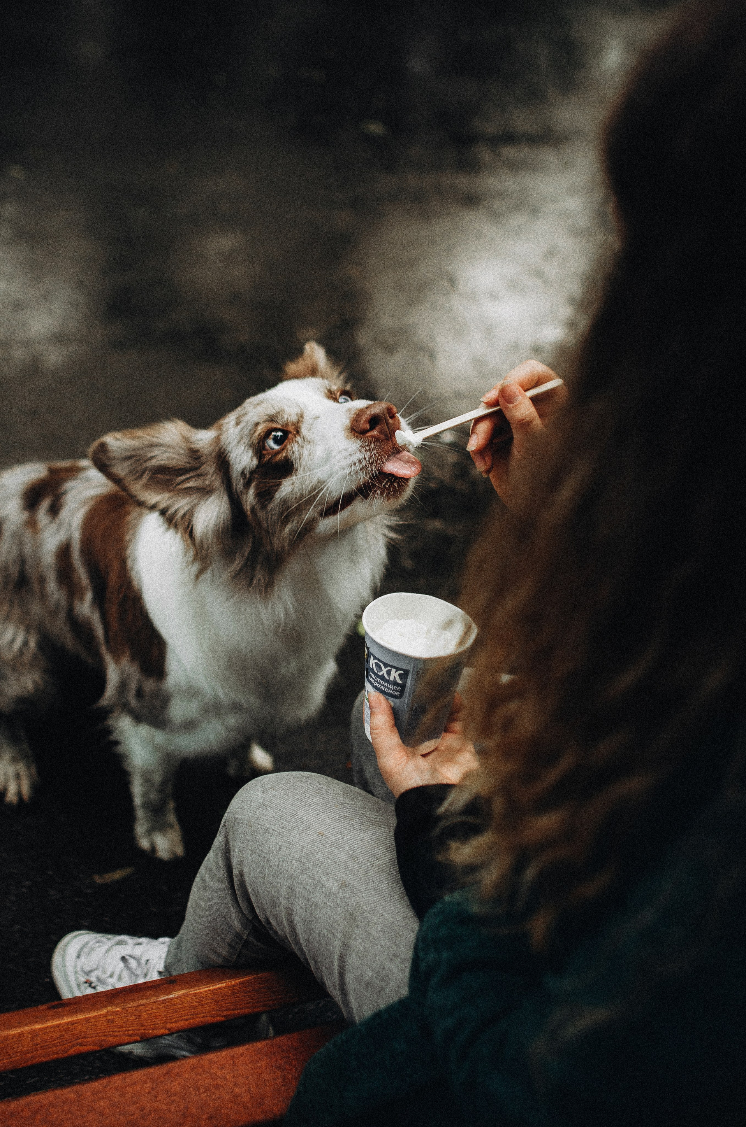 Алина и Бруна. Фотограф-анималист Богданова Полина