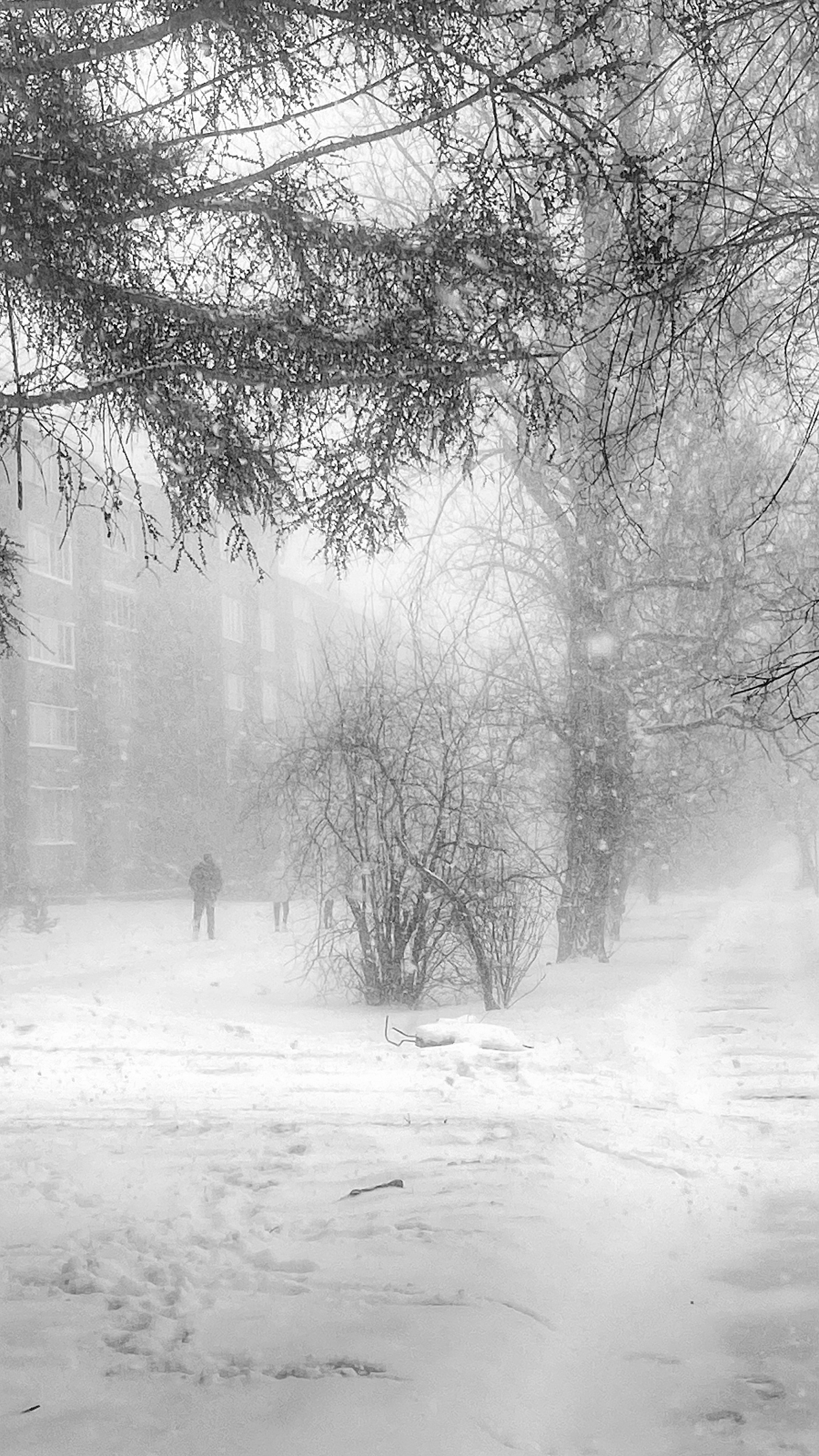 2025 год. Тащилин Сергей. Фотографии. Жизнь. Хобби