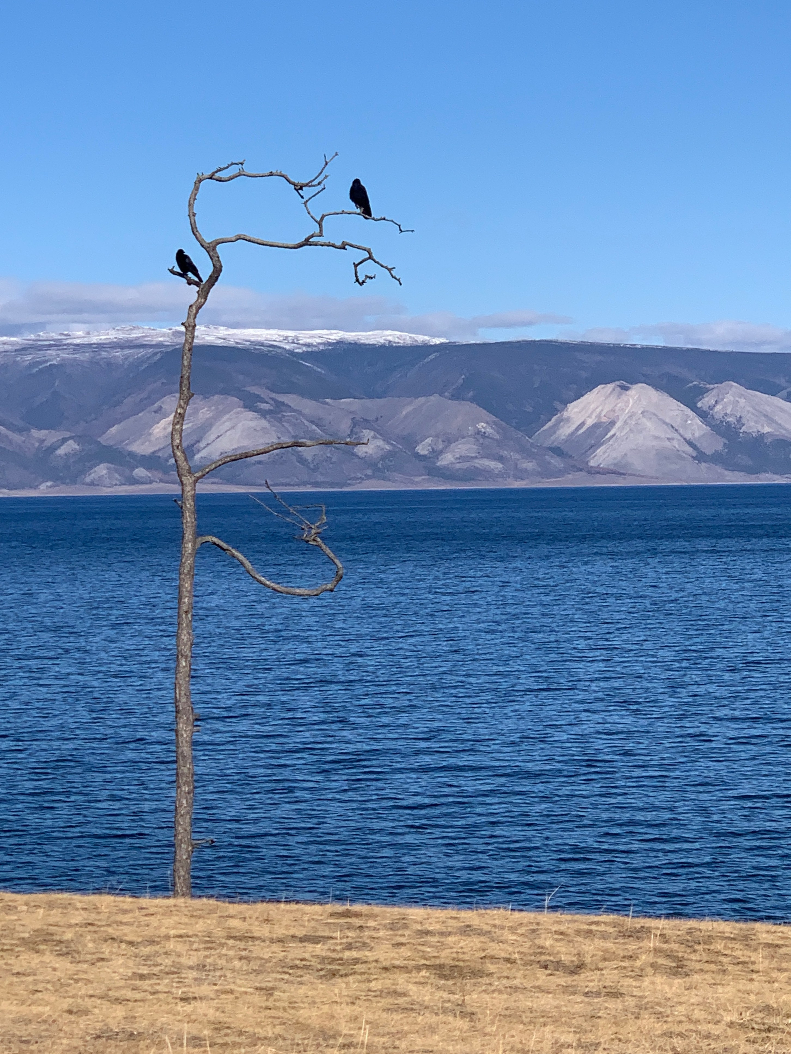 2022. Тащилин Сергей. Фотографии. Жизнь. Хобби