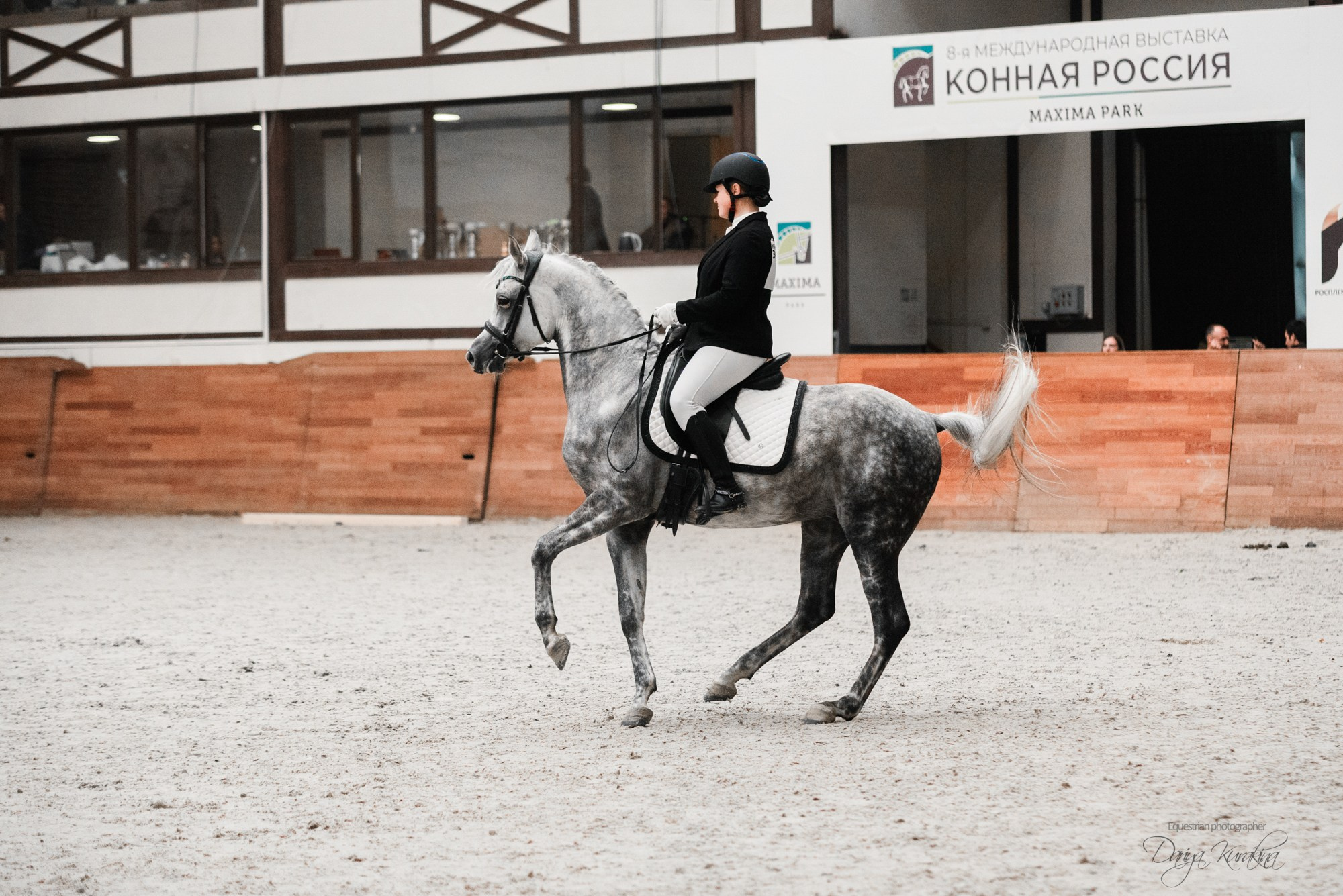 8-я международная выставка Конная Россия. Конный фотограф Куракина Дарья • Фотосессии с лошадьми