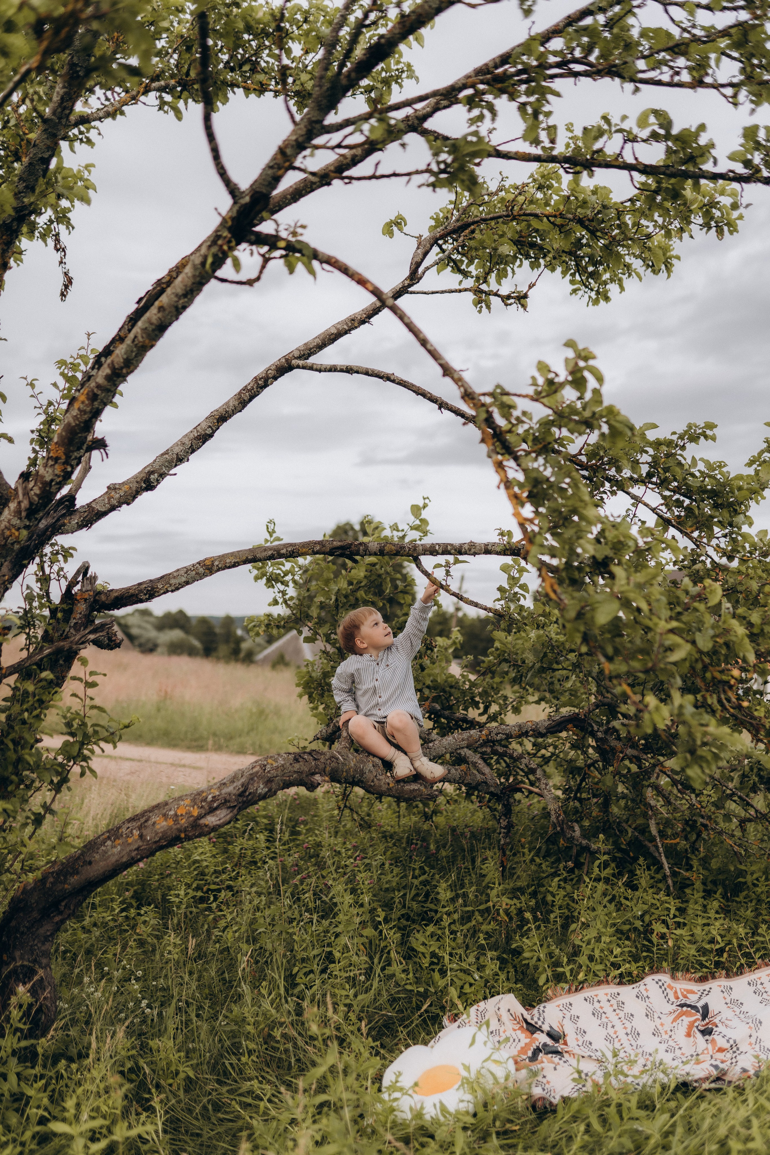 Алла. Фотограф Торопец Кристина Абрамова Kanwellia photography
