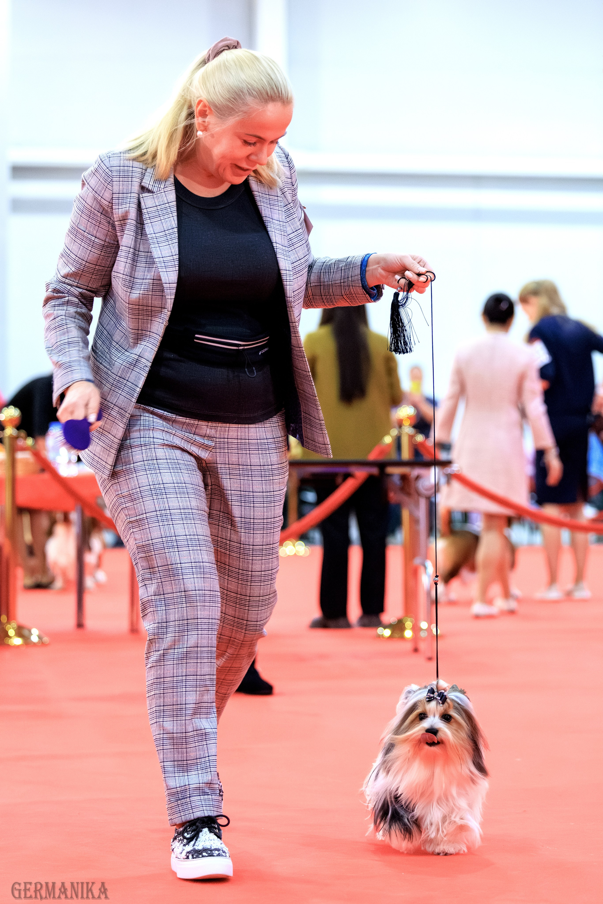 Лучшие Собаки России 17-18.02.2024. Фотограф-анималист Юлия Германика