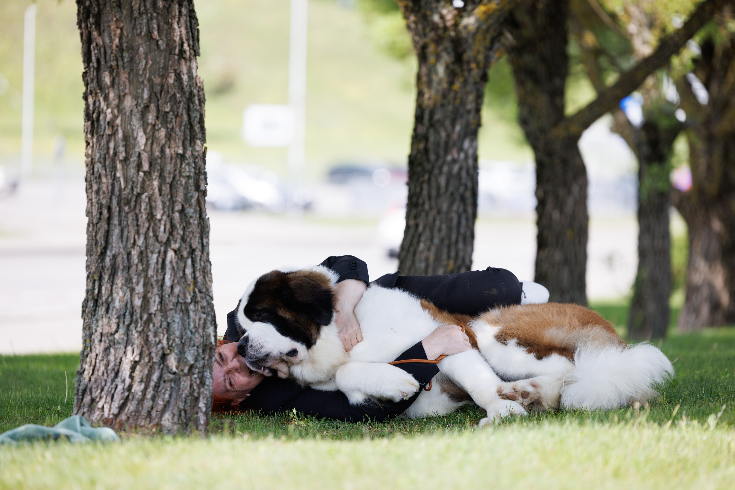 Минск 31.05-1.06.2025. Фотограф-анималист Юлия Германика