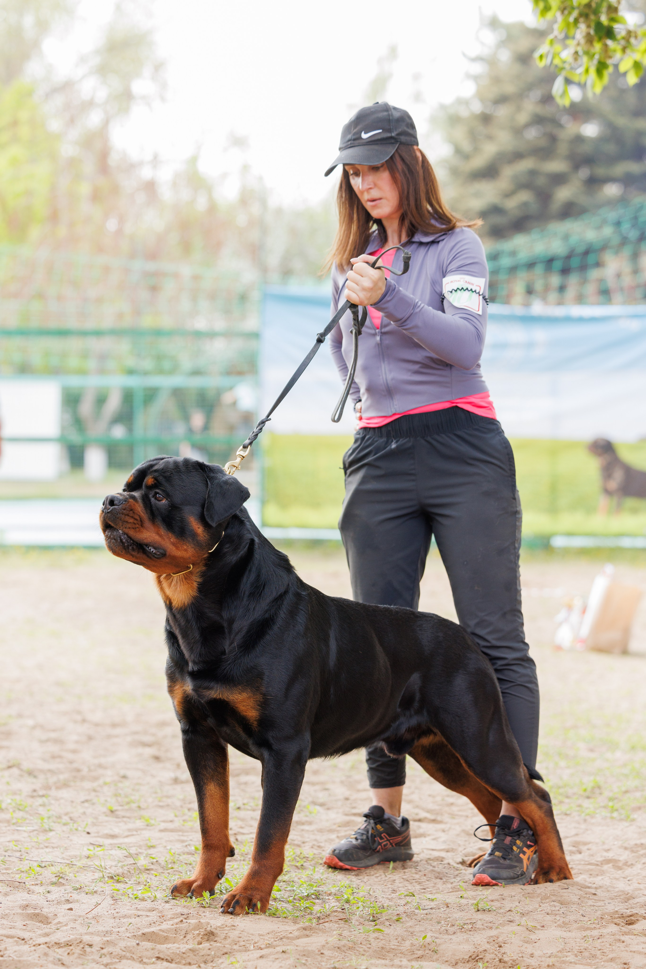 Саратов моно ротвейлеров 26-27.04.2025. Фотограф-анималист Юлия Германика