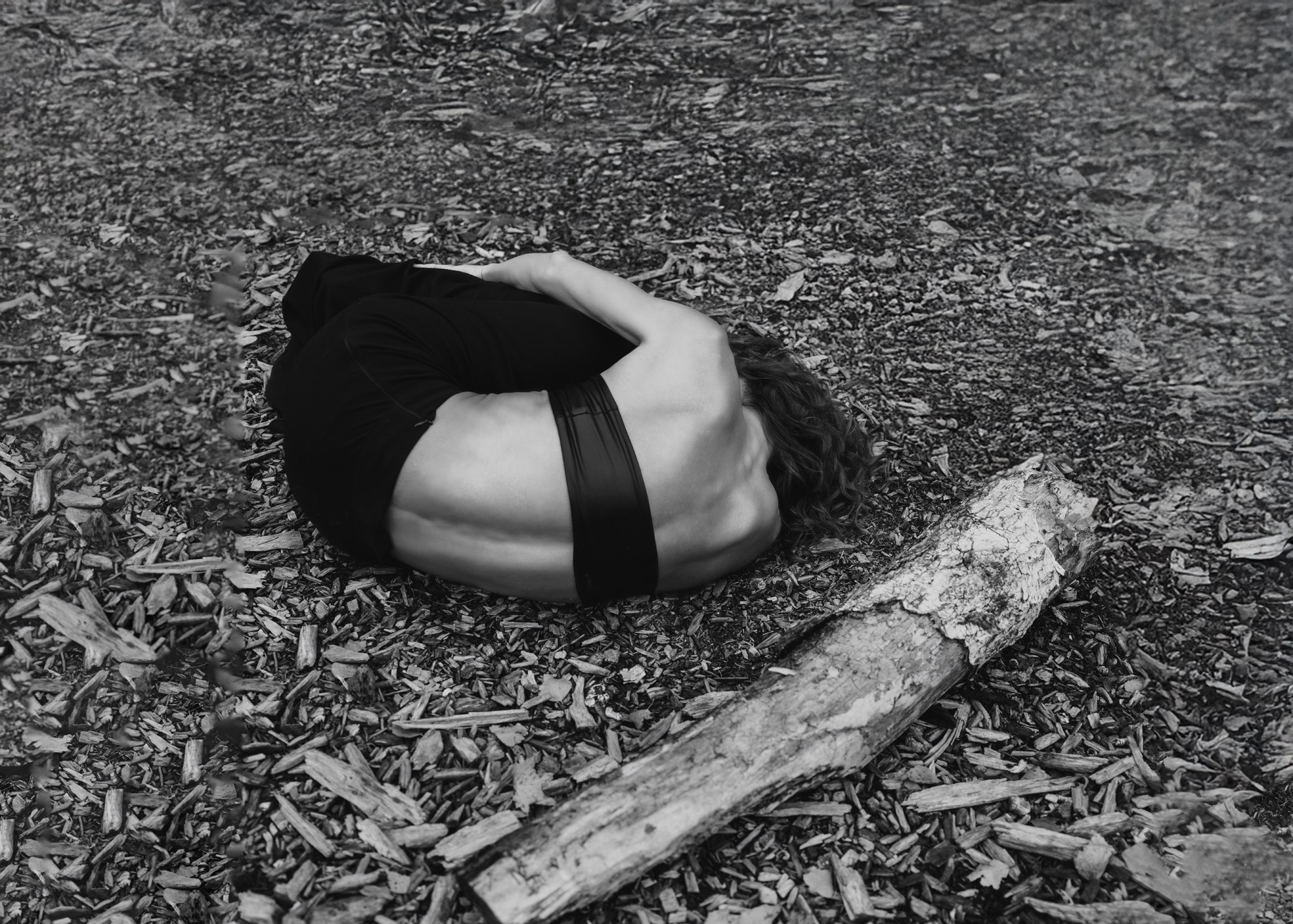 Kristina-Brauer. Shamirov Arkadiy