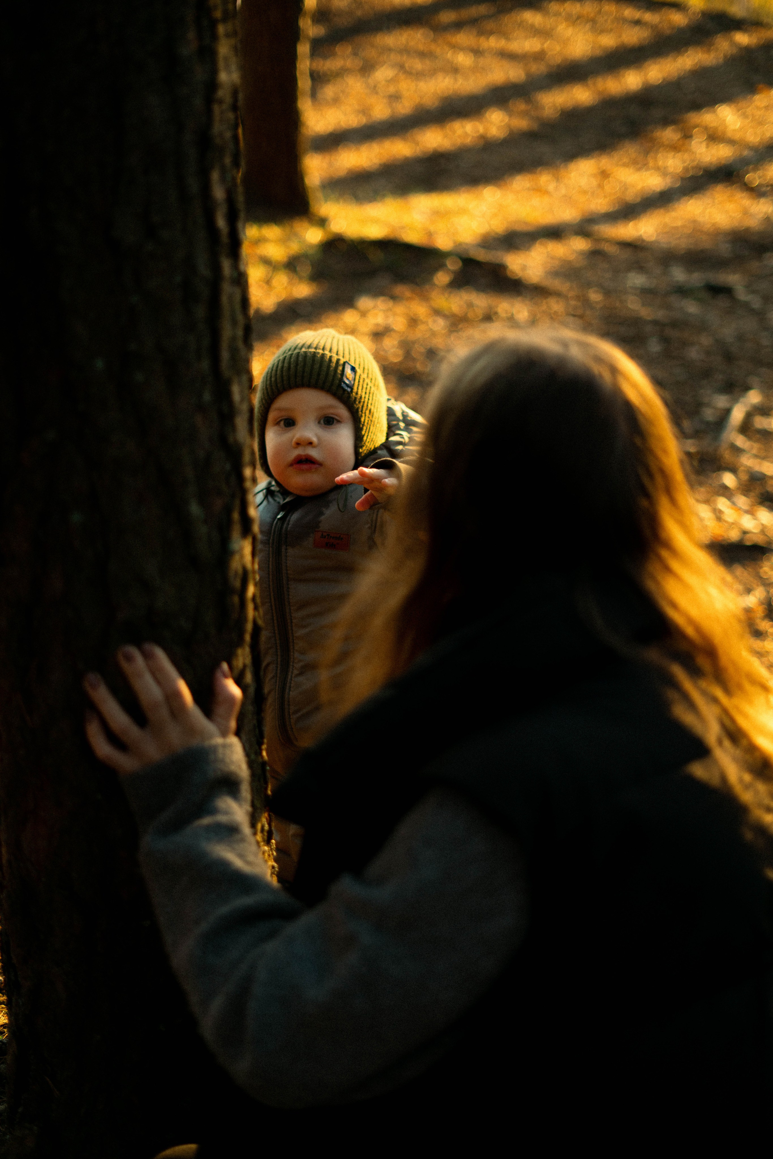 Family story. Главная