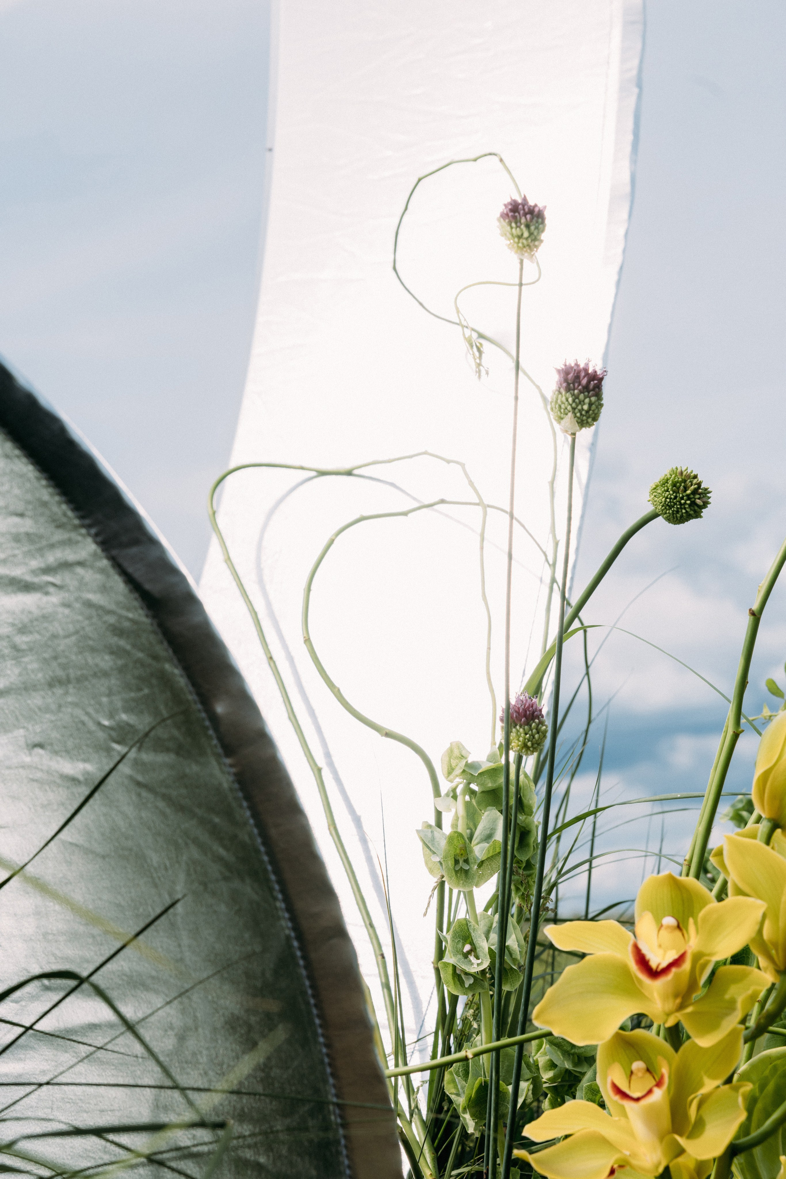 @avtors.agency. Свадебный и репортажный фотограф в Москве Владимир Сергеев | Naysaikolo