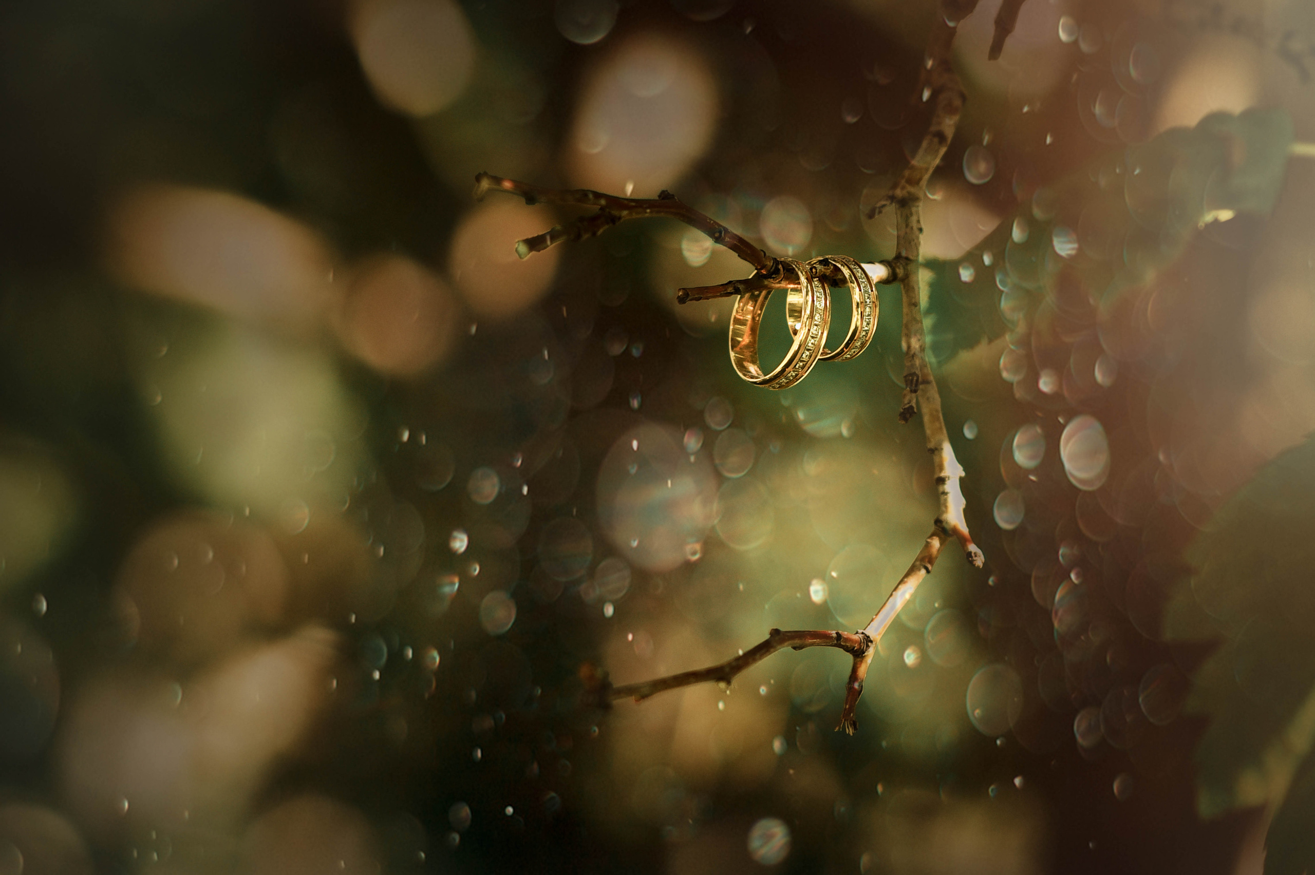 Романтичная история Яны и Константина. Свадебный, семейный, детский, контент фотограф в Омске Максим Ильин