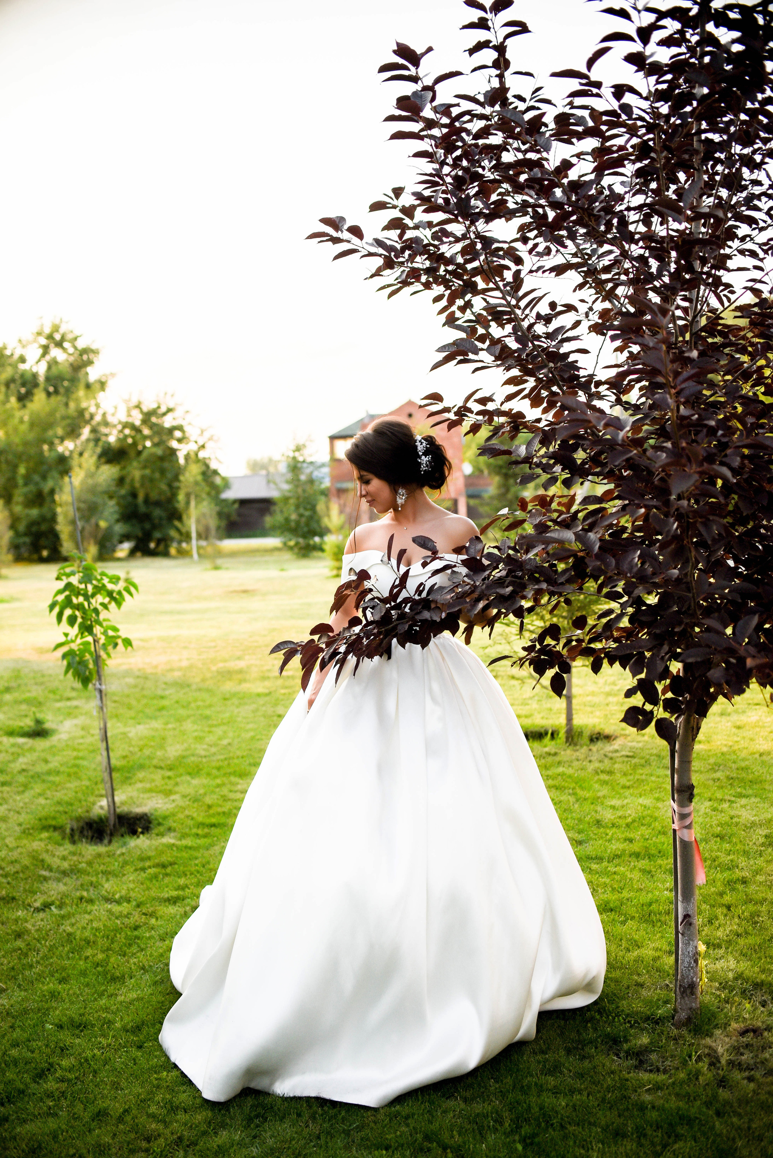 Яркая июльская история Алескандра и Инны. Свадебный, семейный, детский, контент фотограф в Омске Максим Ильин