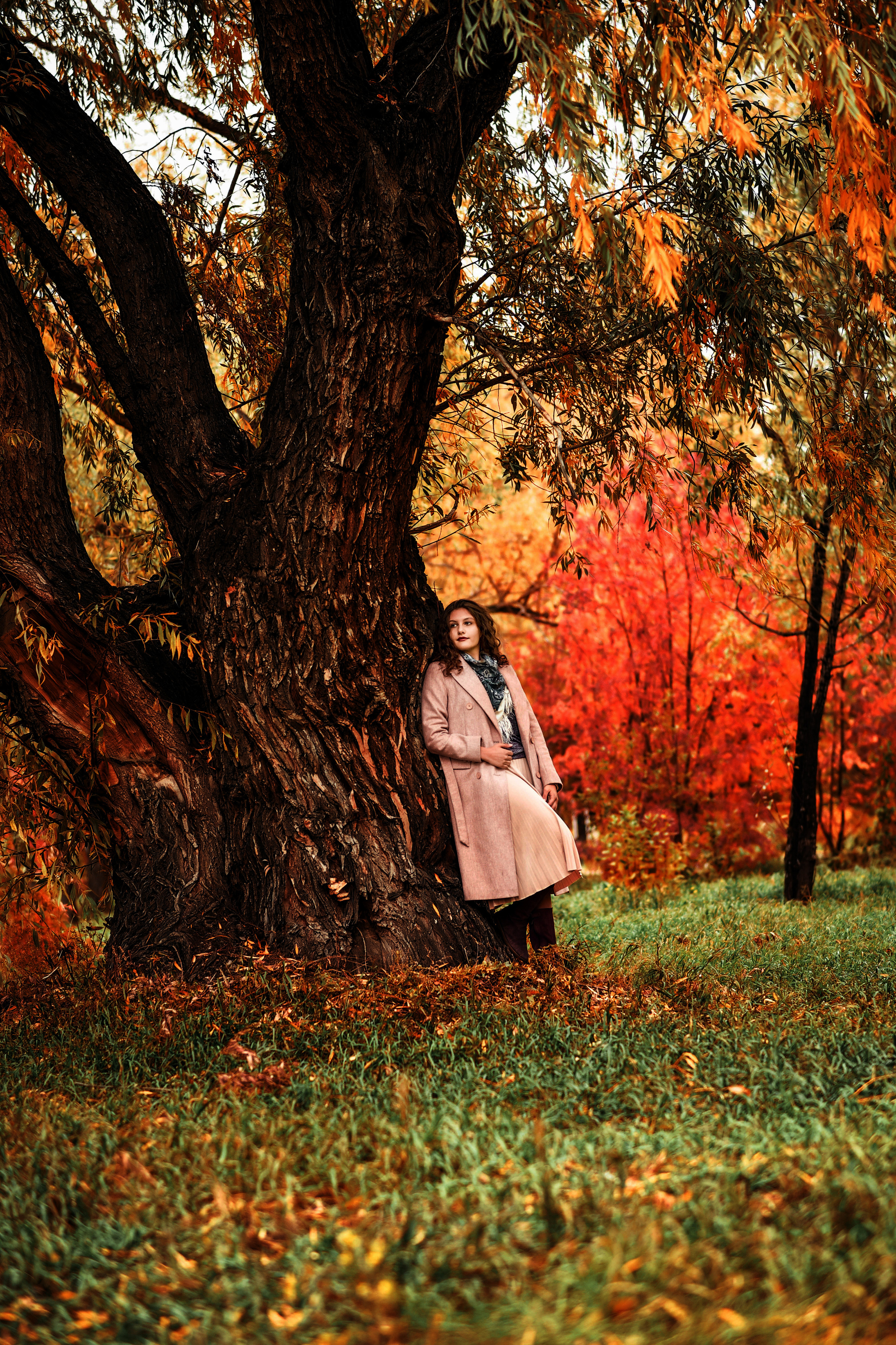 Прогулочные семейные, детские, индивидуальные фотосессии. Свадебный, семейный, детский, контент фотограф в Омске Максим Ильин